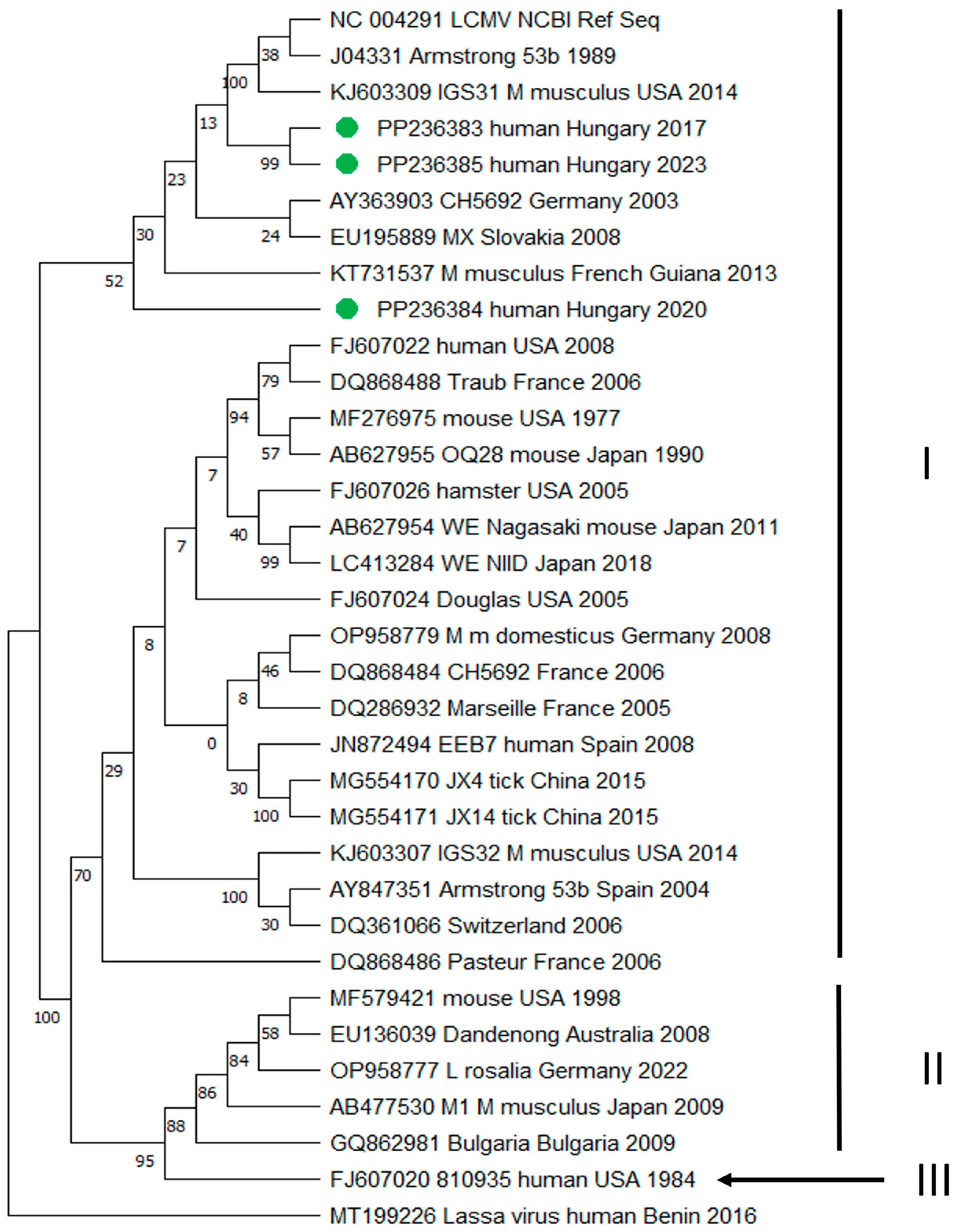 Diagnostics 14 01436 g003