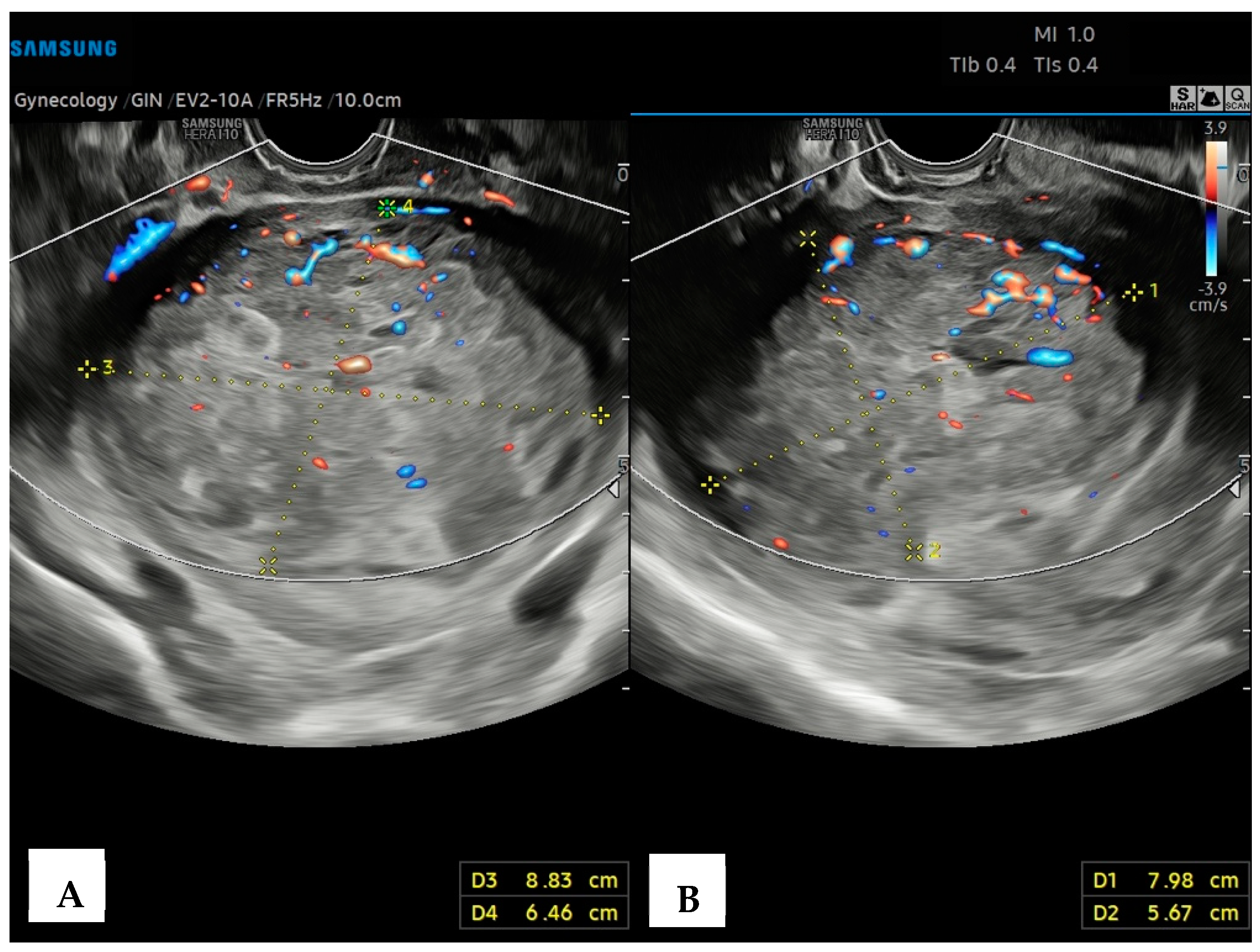 Diagnostics 14 01438 g001