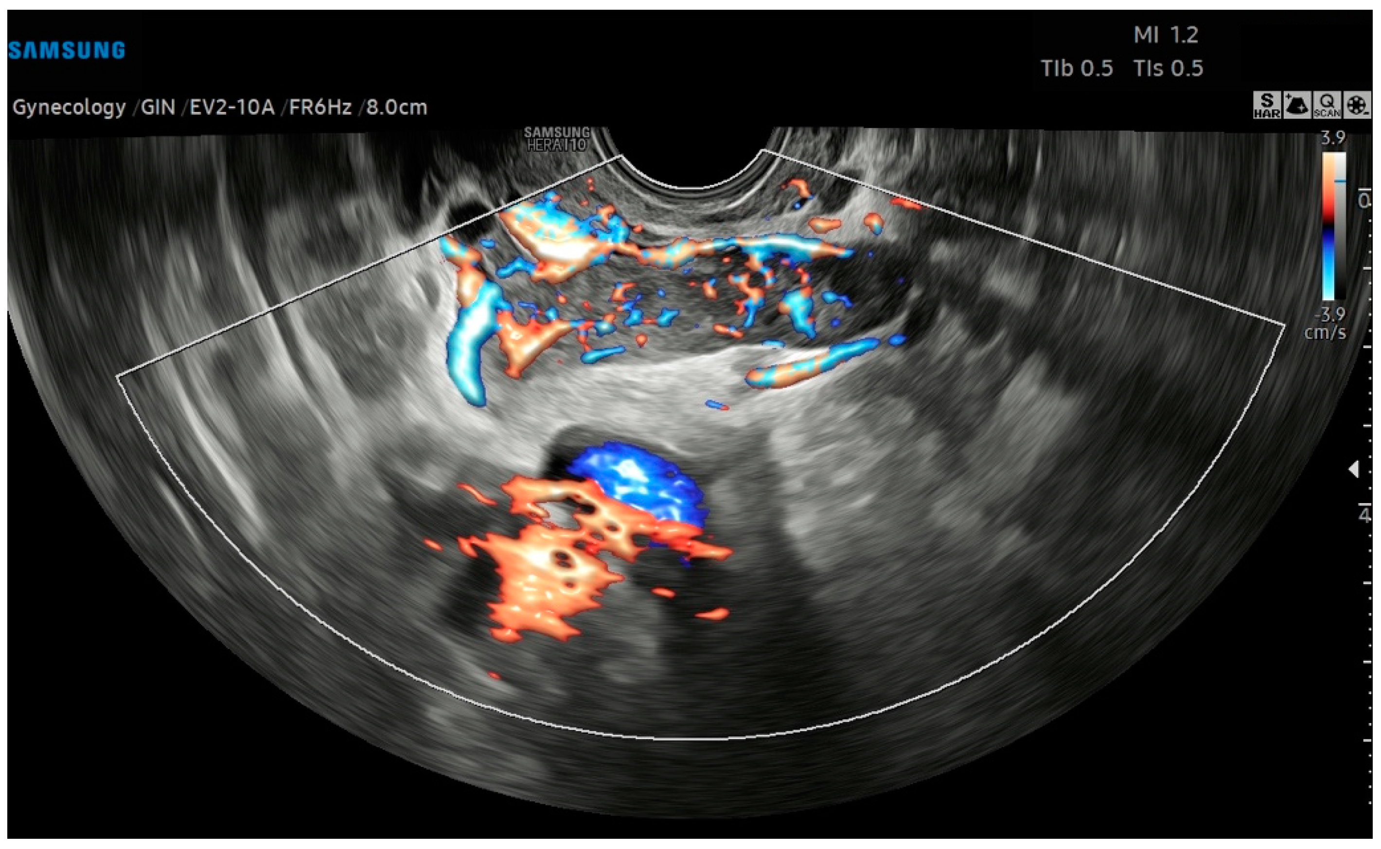Diagnostics 14 01438 g002