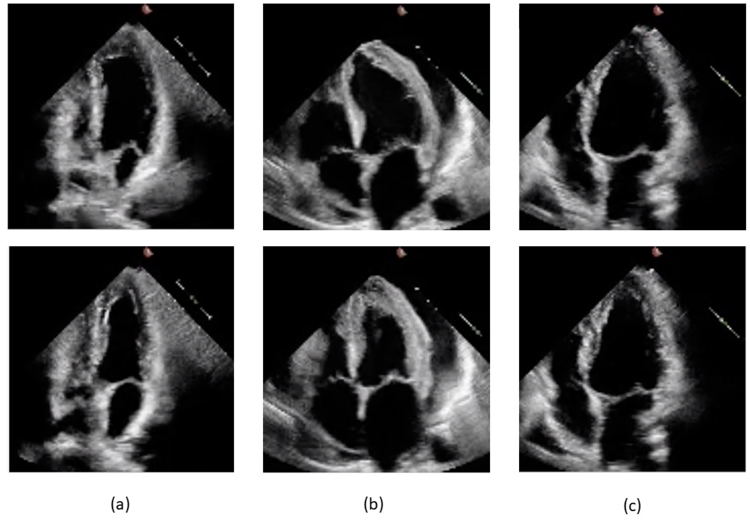 Diagnostics 14 01439 g002