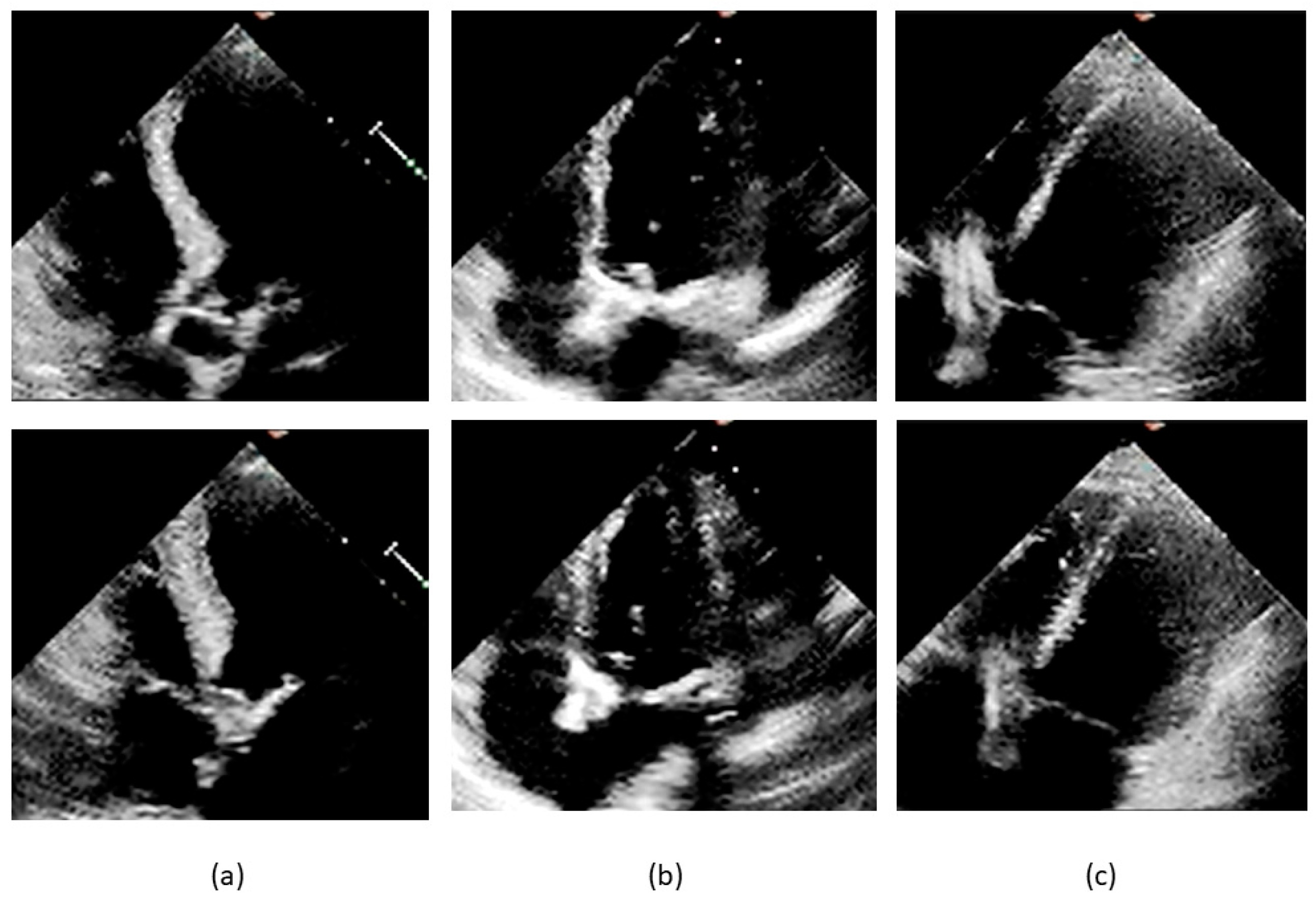 Diagnostics 14 01439 g012