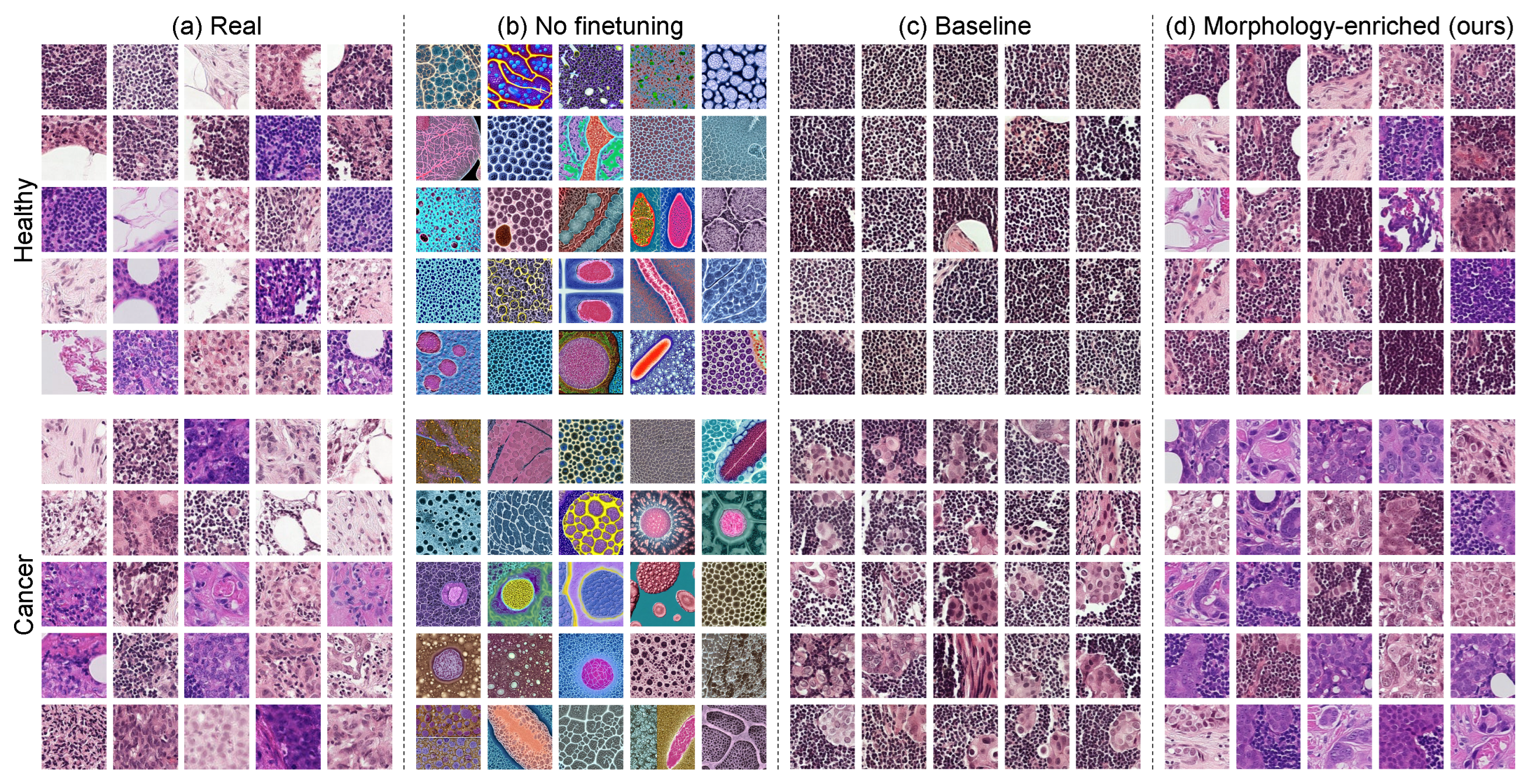 Diagnostics 14 01442 g001