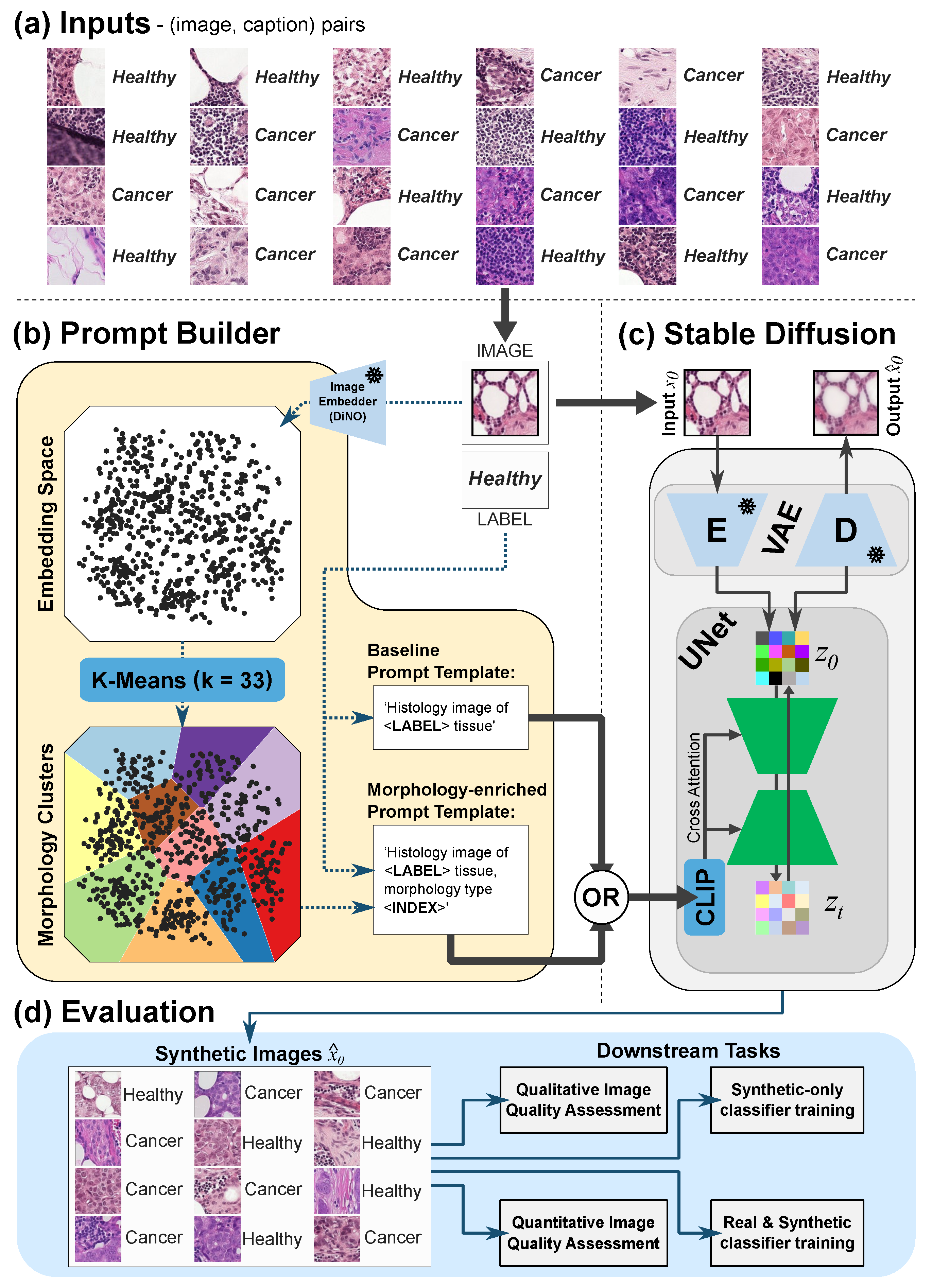 Diagnostics 14 01442 g002