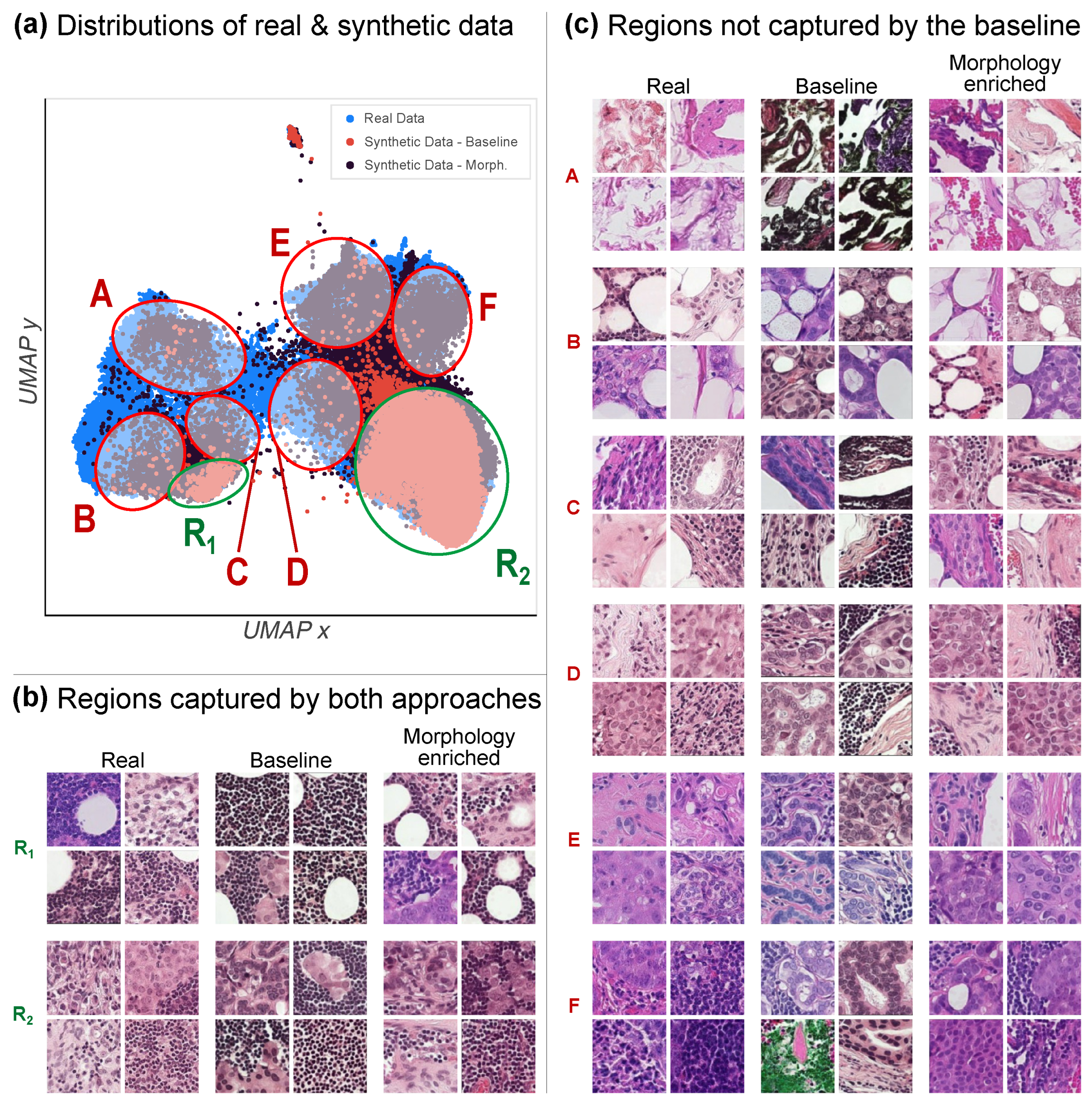 Diagnostics 14 01442 g004