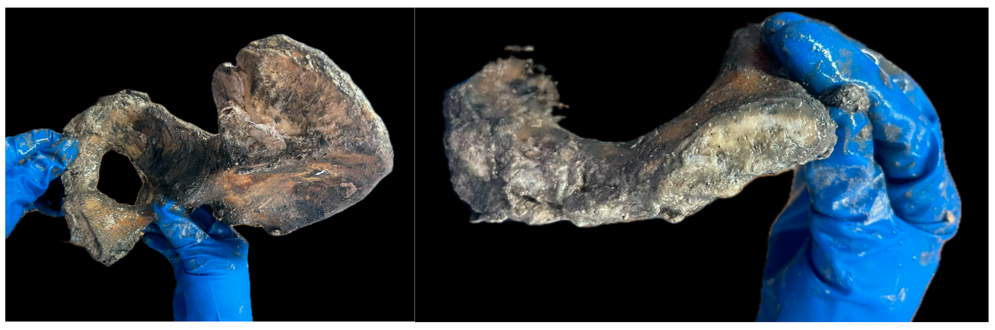 Diagnostics 14 01446 g003