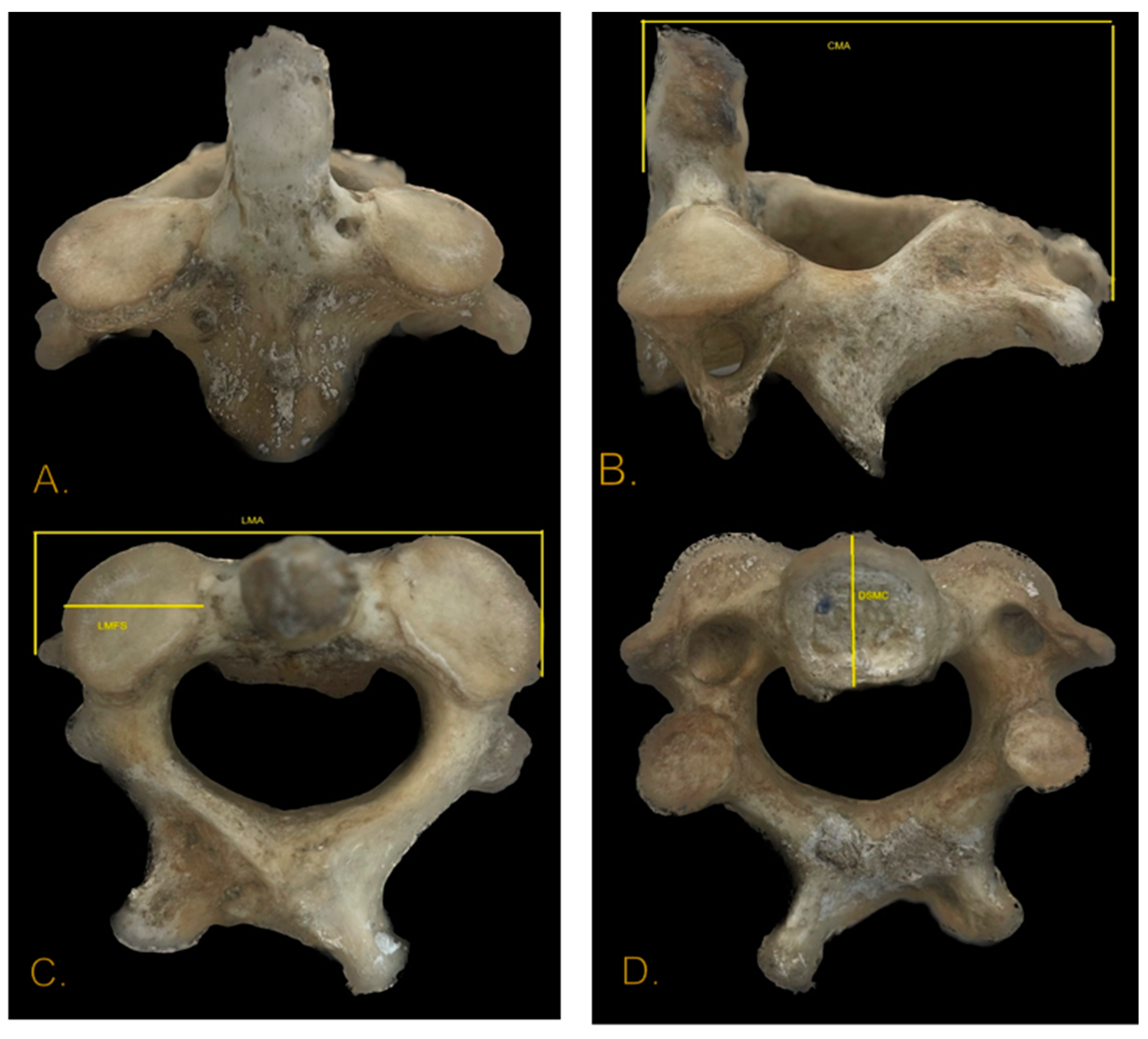 Diagnostics 14 01446 g004