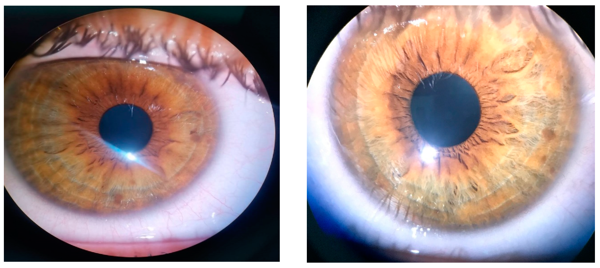 Diagnostics 14 01447 g001