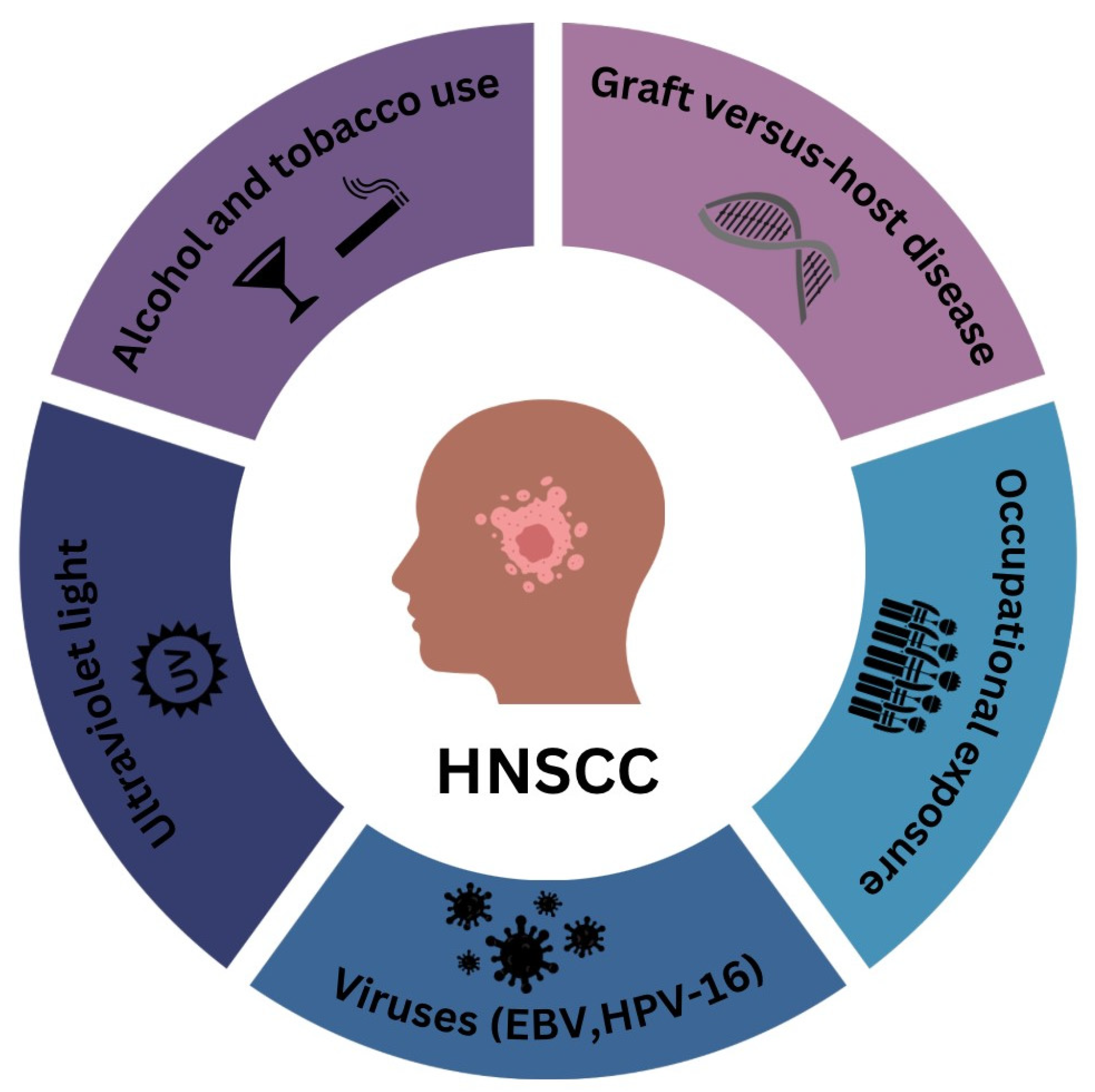 Diagnostics 14 01448 g001