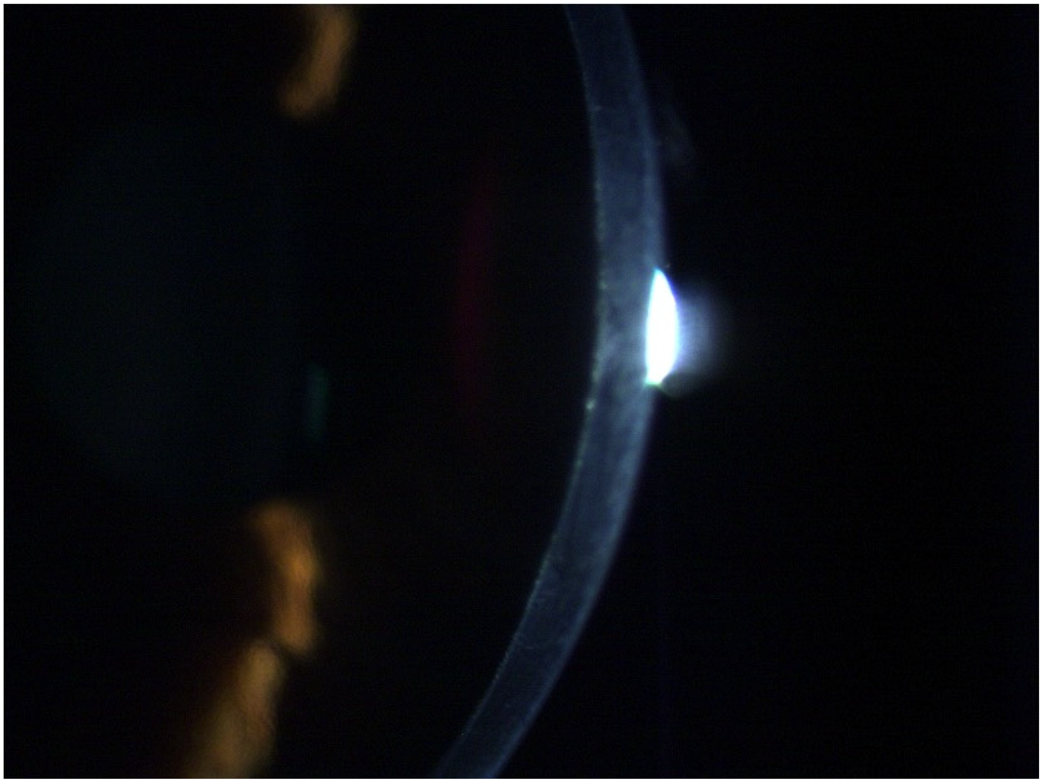 Diagnostics 14 01455 g007