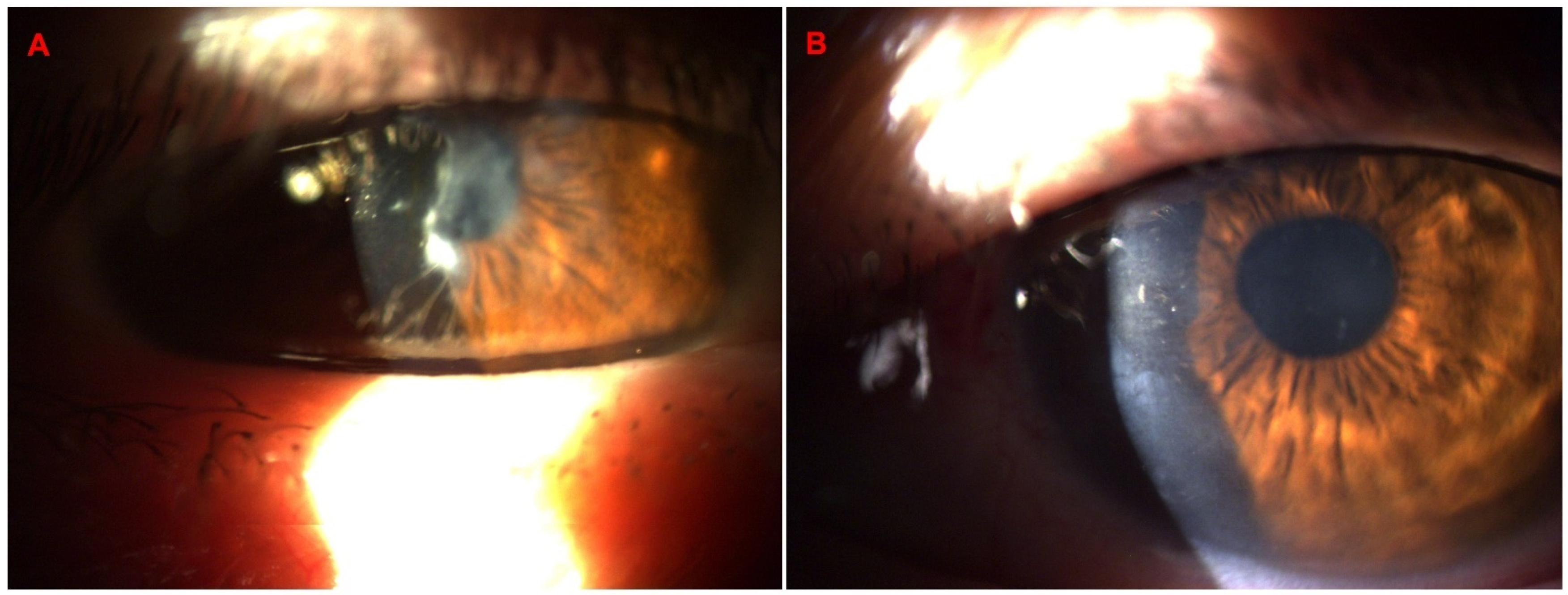 Diagnostics 14 01455 g015