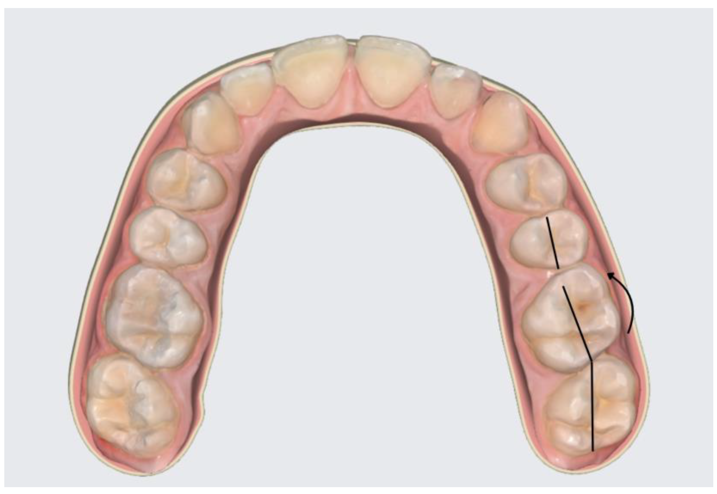 Diagnostics 14 01460 g001