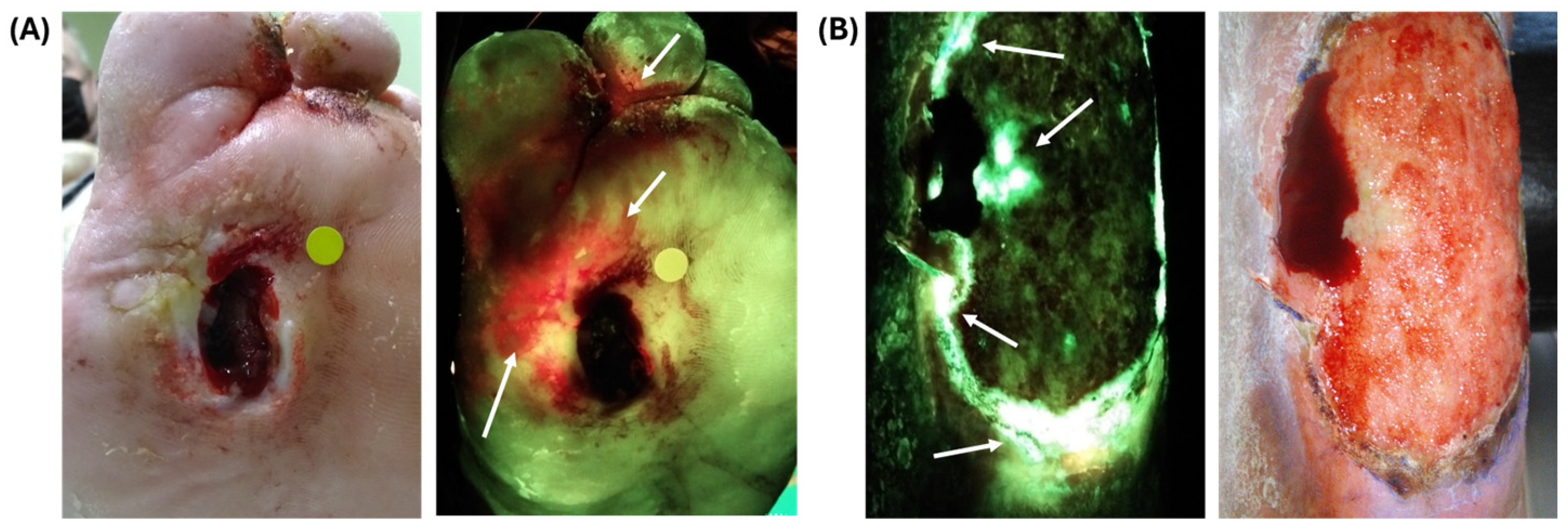 Diagnostics 14 01474 g001