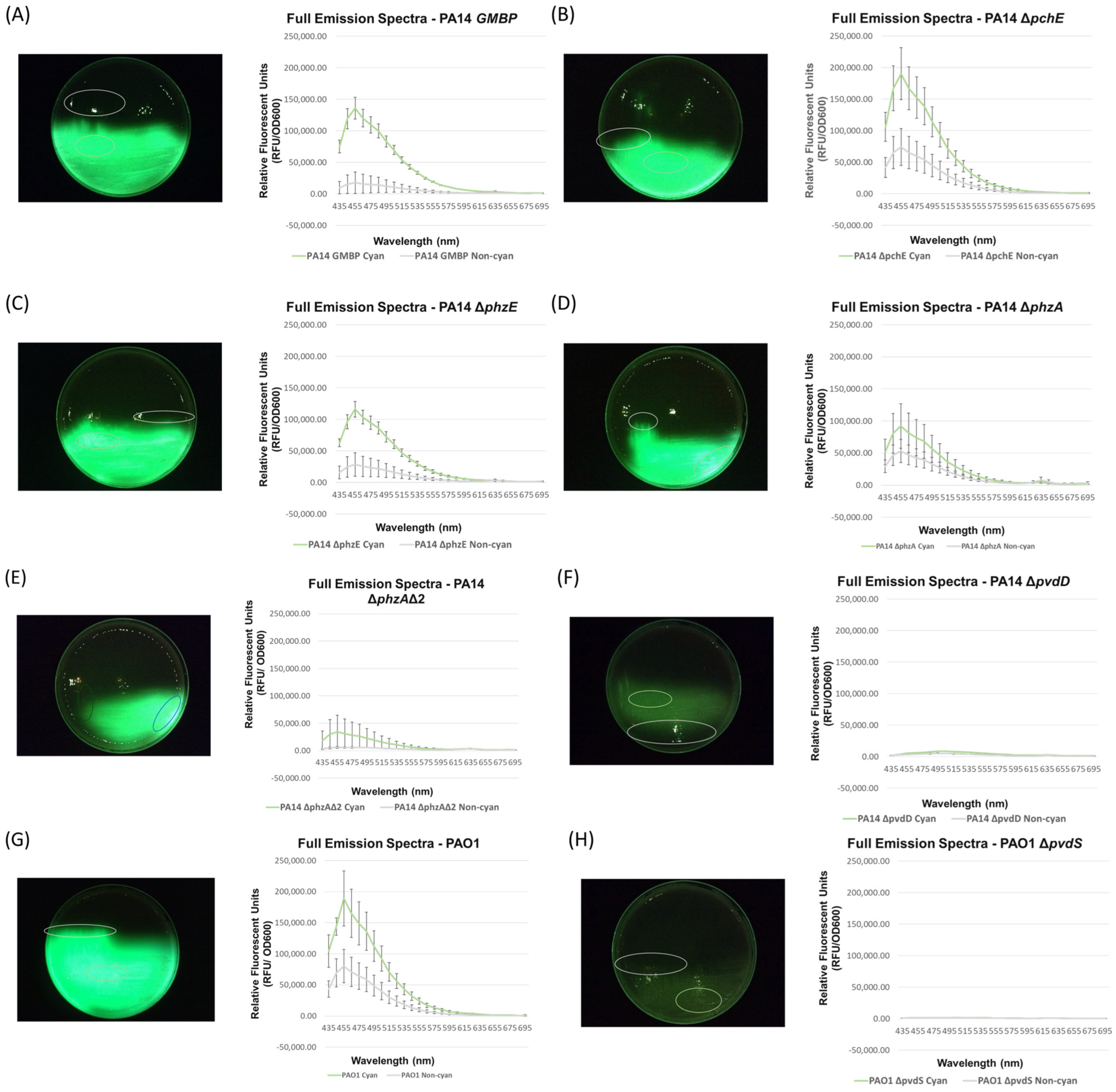 Diagnostics 14 01474 g003