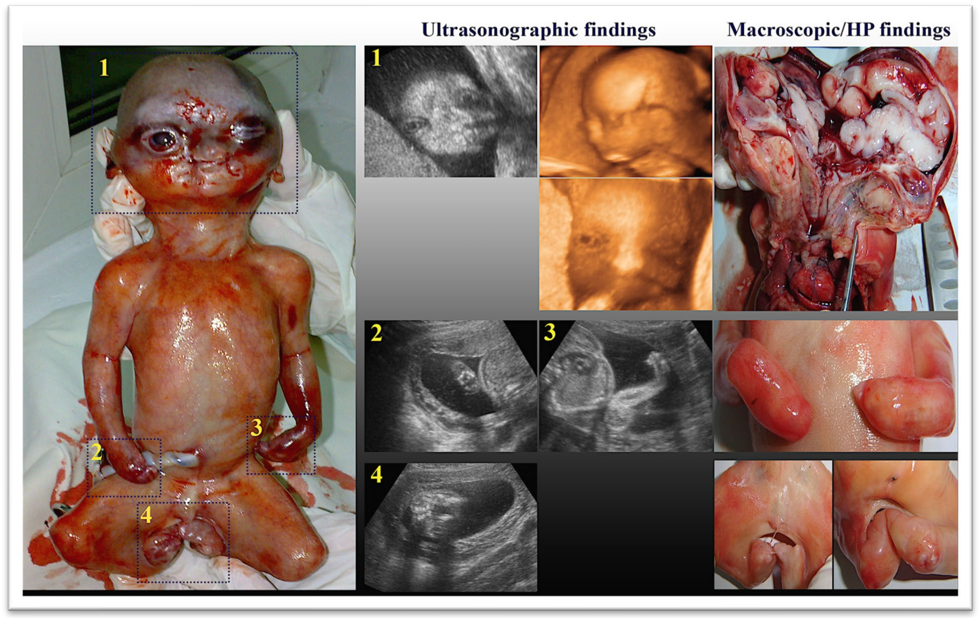 Diagnostics 14 01480 g001