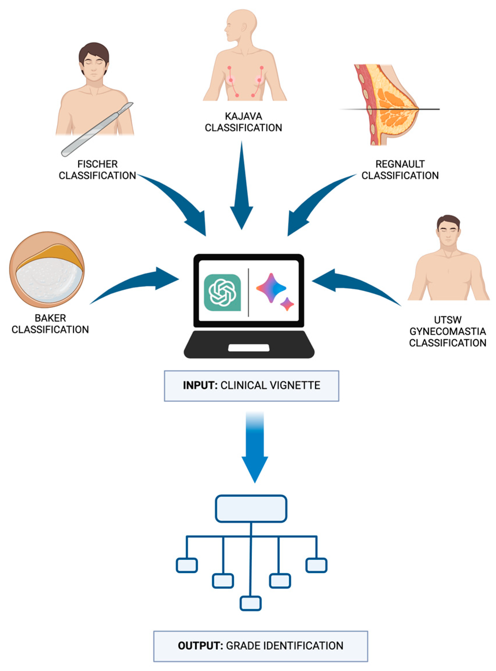 Diagnostics 14 01491 g001