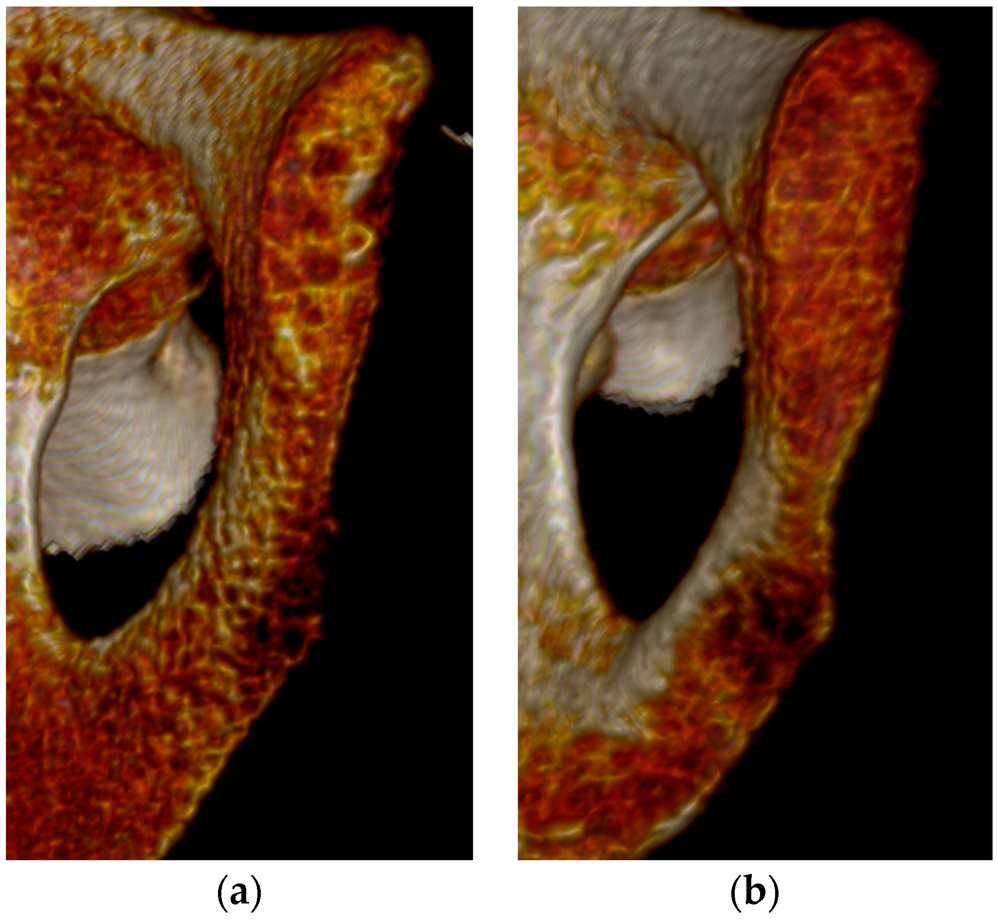 Diagnostics 14 01500 g001