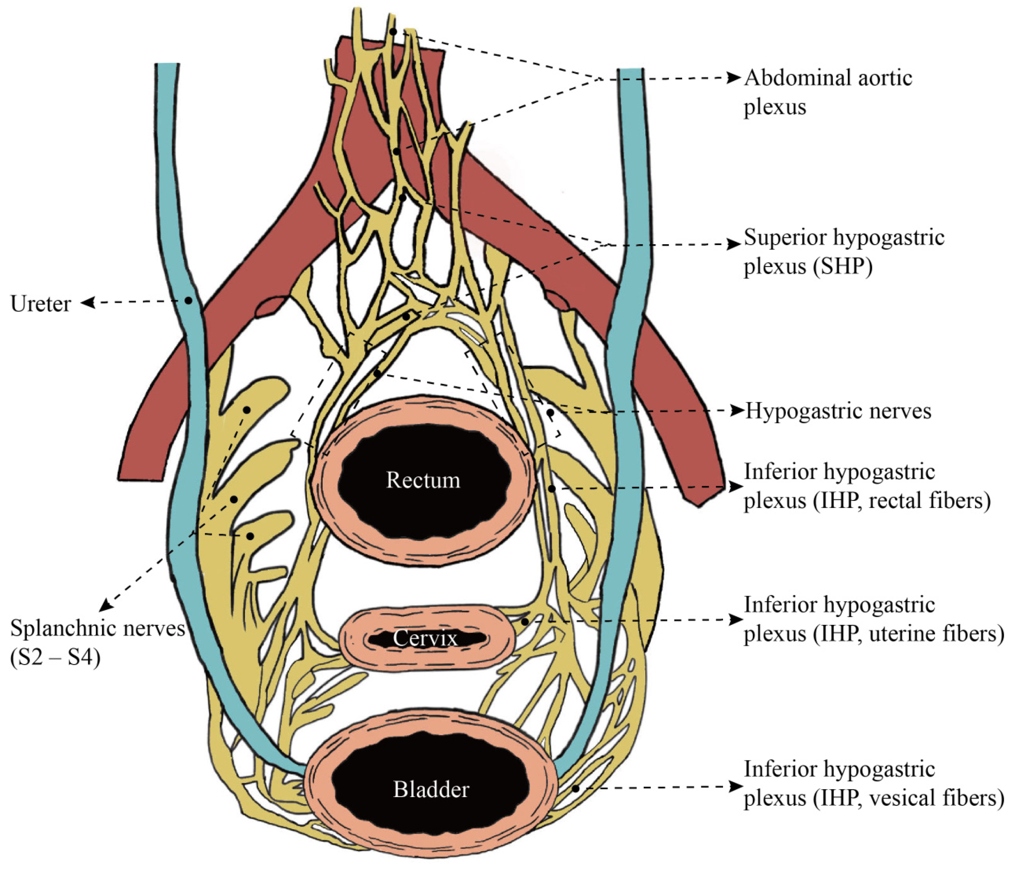 Diagnostics 14 01517 g002