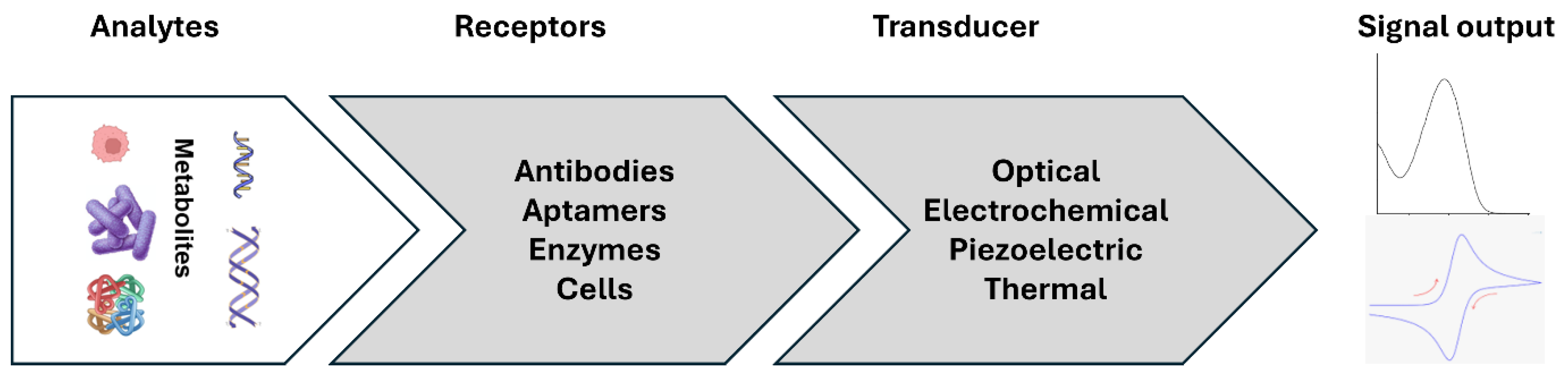 Diagnostics 14 01519 g002