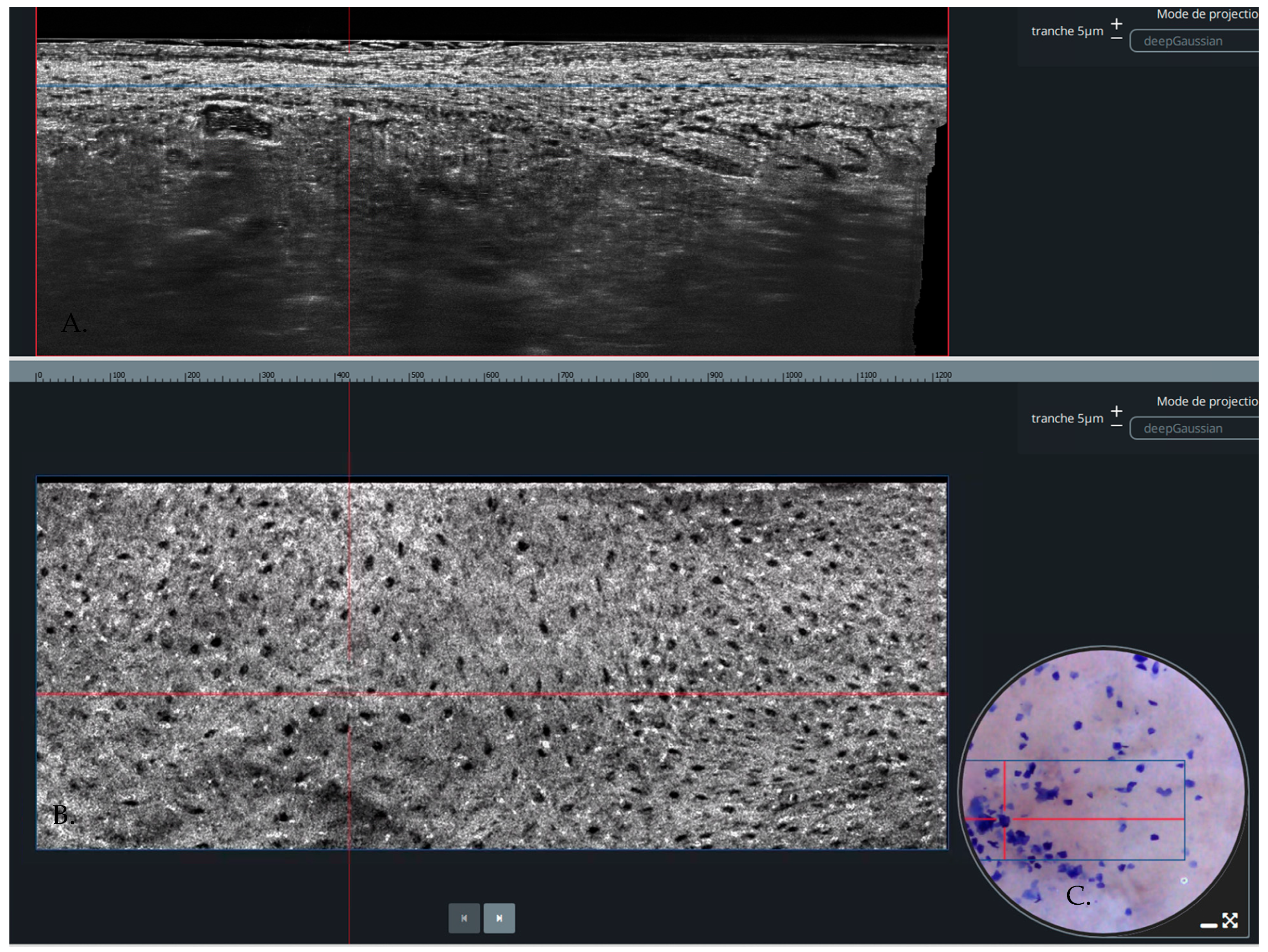 Diagnostics 14 01522 g001