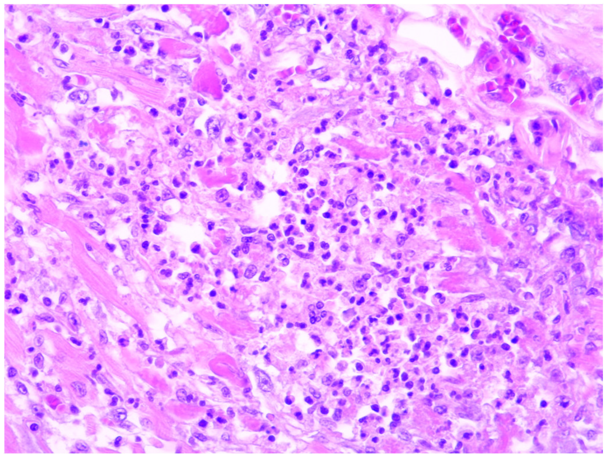 Diagnostics 14 01527 g001