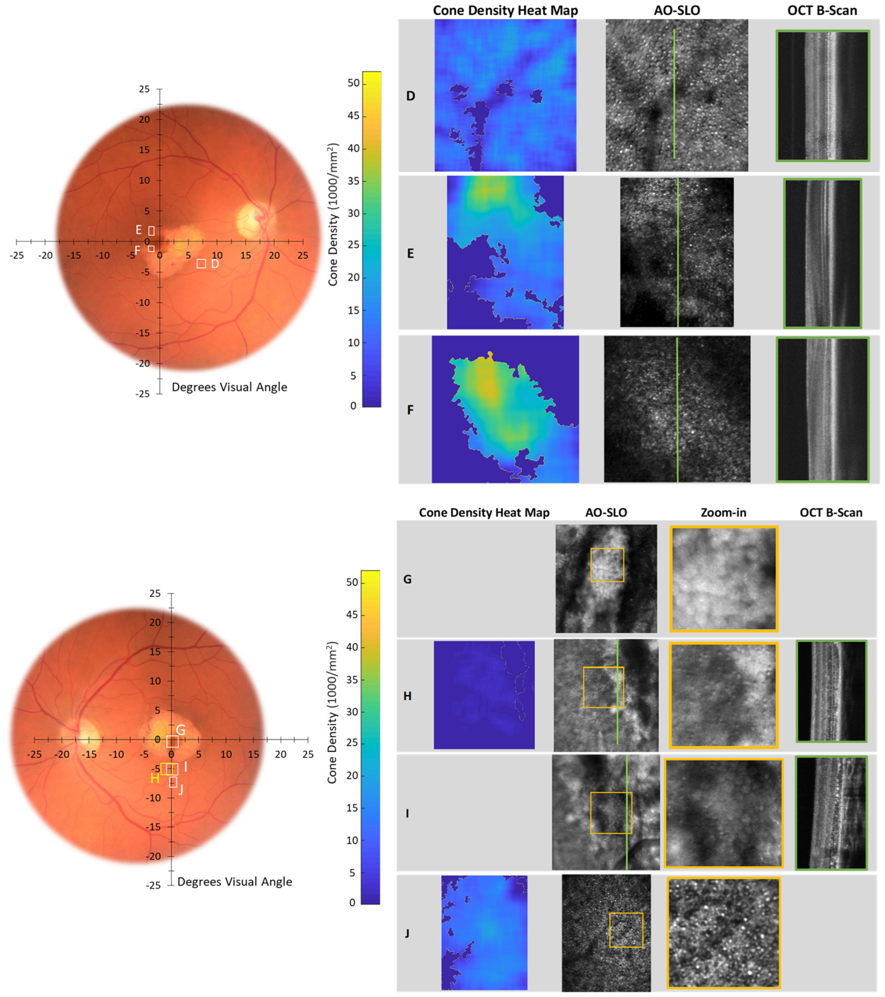 Diagnostics 14 01545 g007