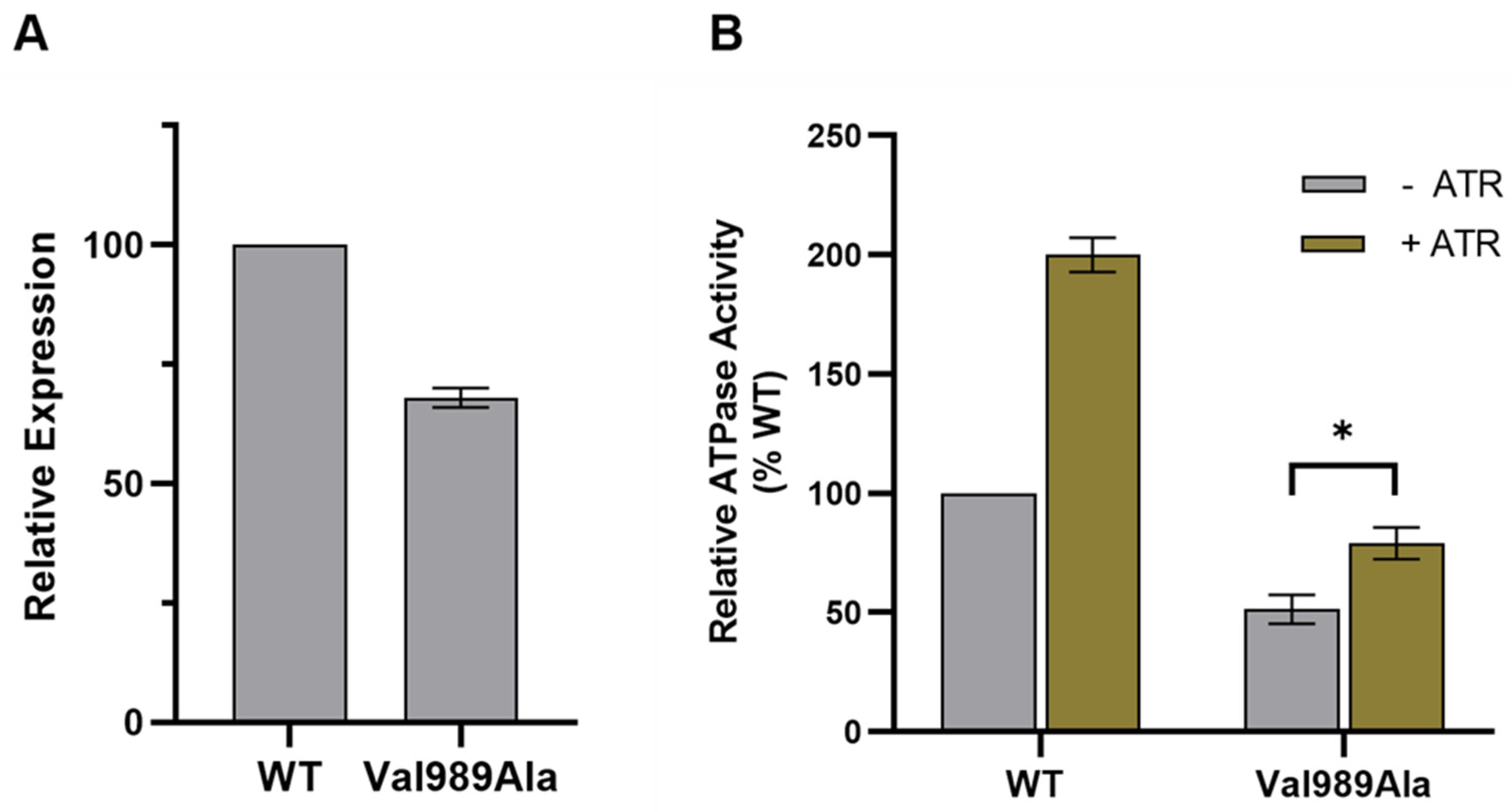 Diagnostics 14 01545 g0a1