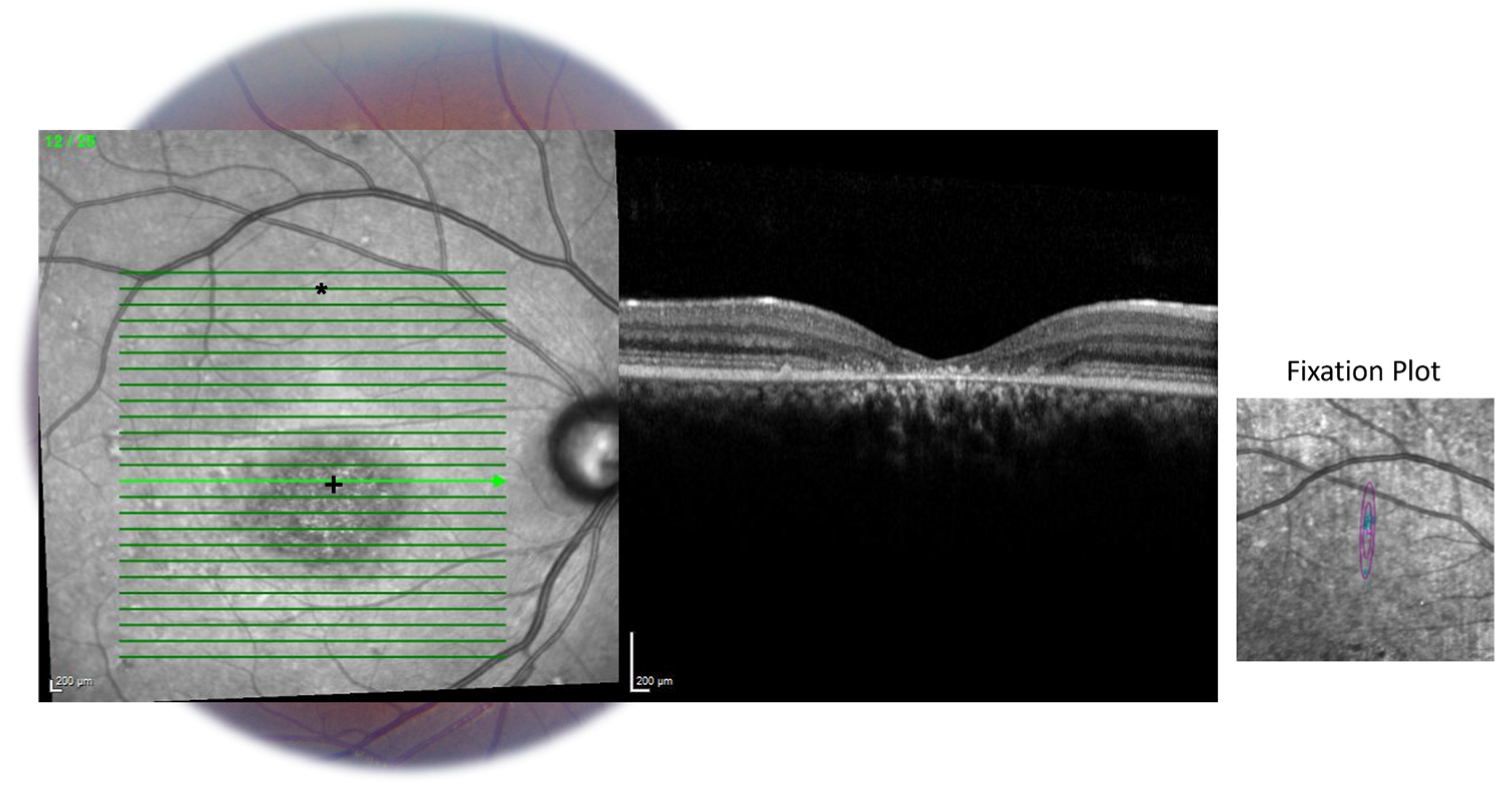 Diagnostics 14 01545 g0a3