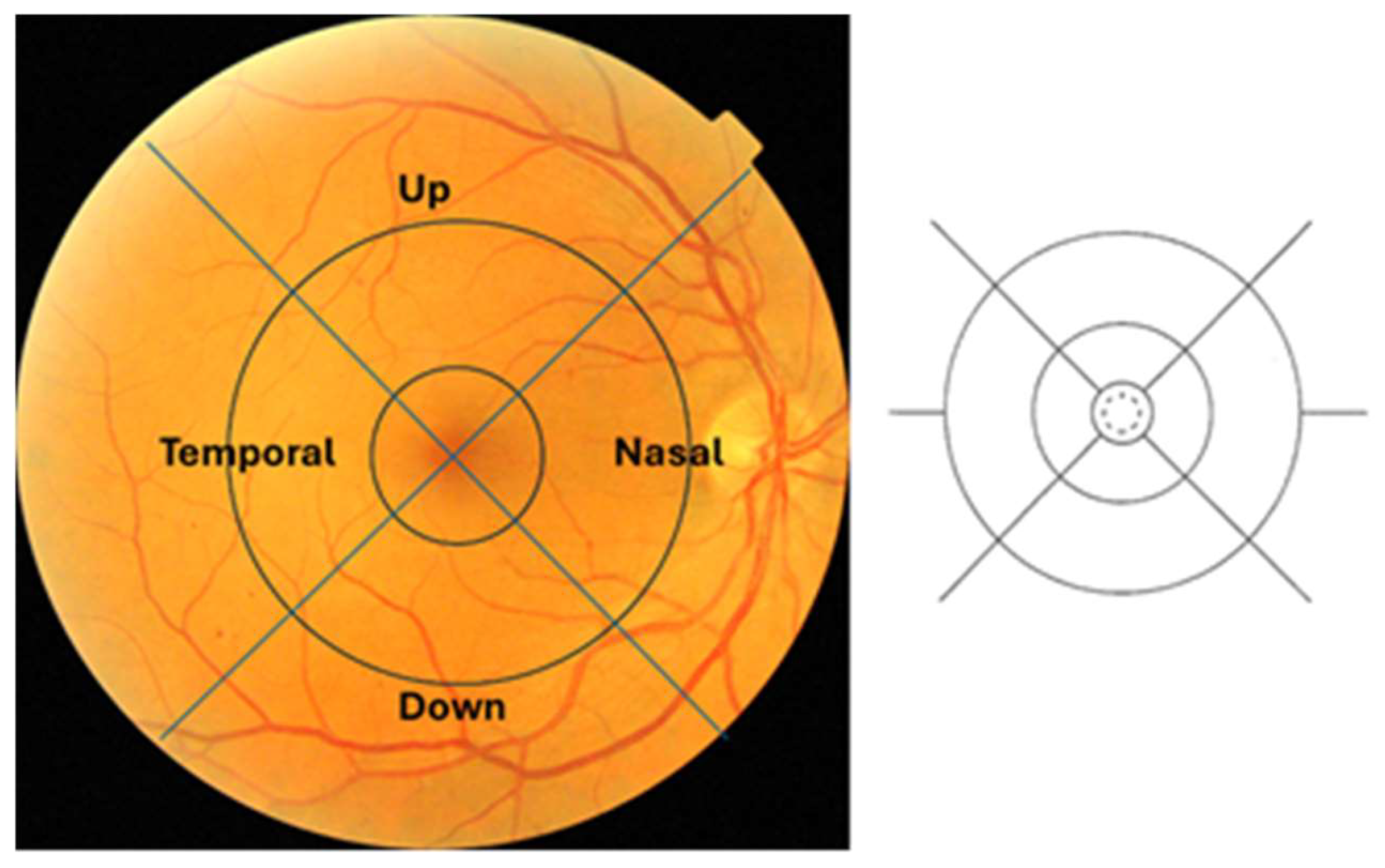 Diagnostics 14 01547 g002