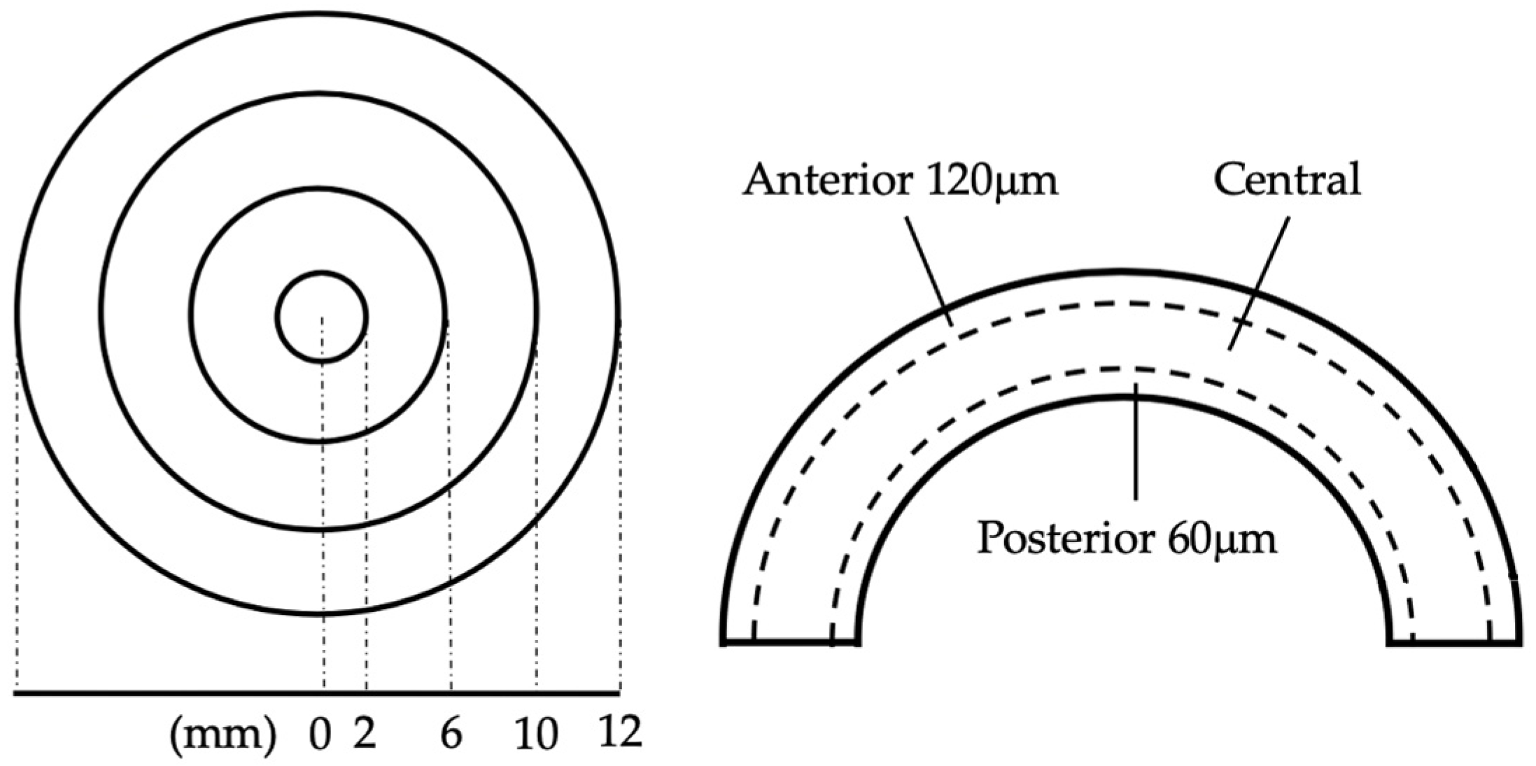 Diagnostics 14 01557 g002