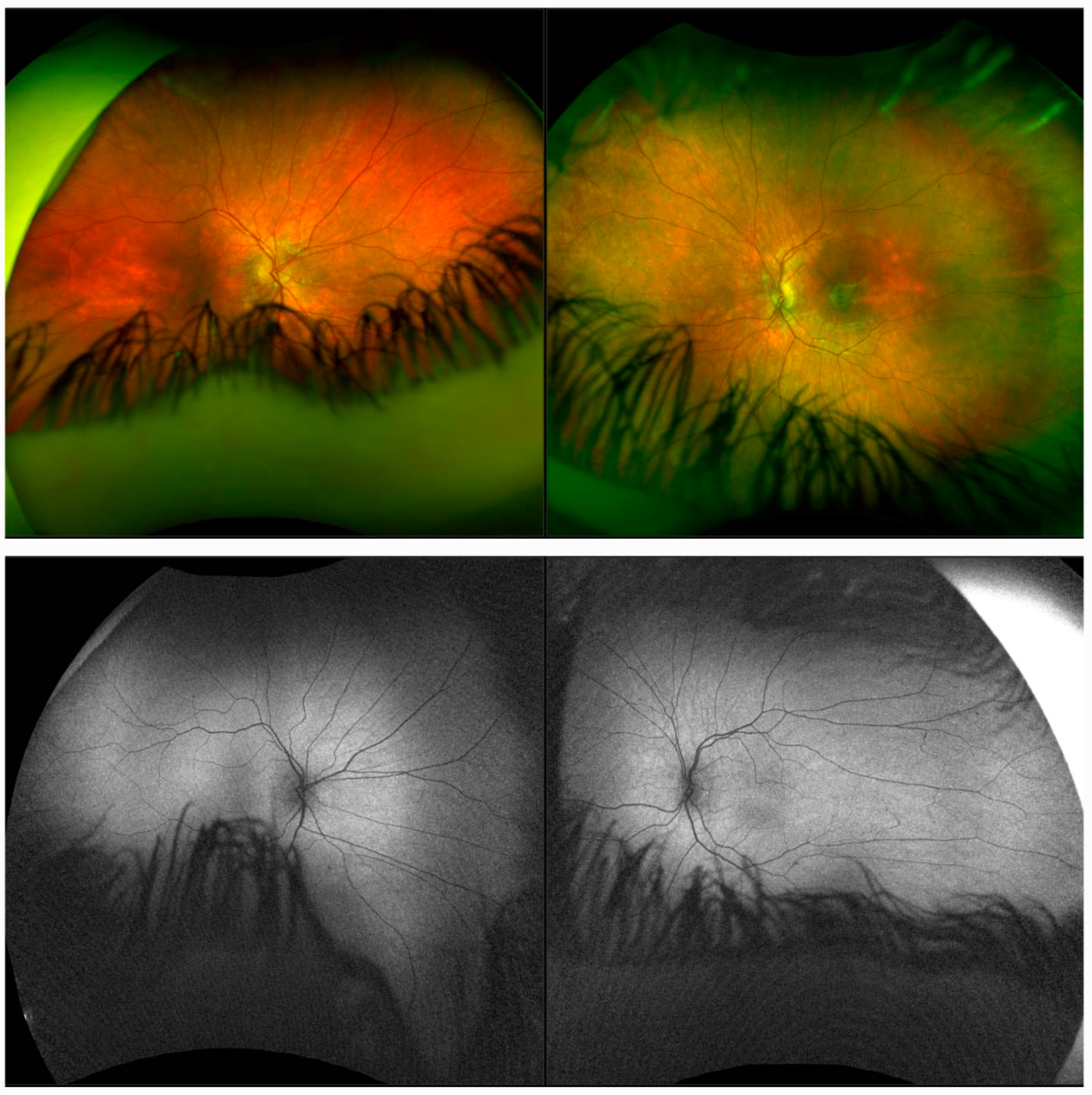 Diagnostics 14 01583 g001