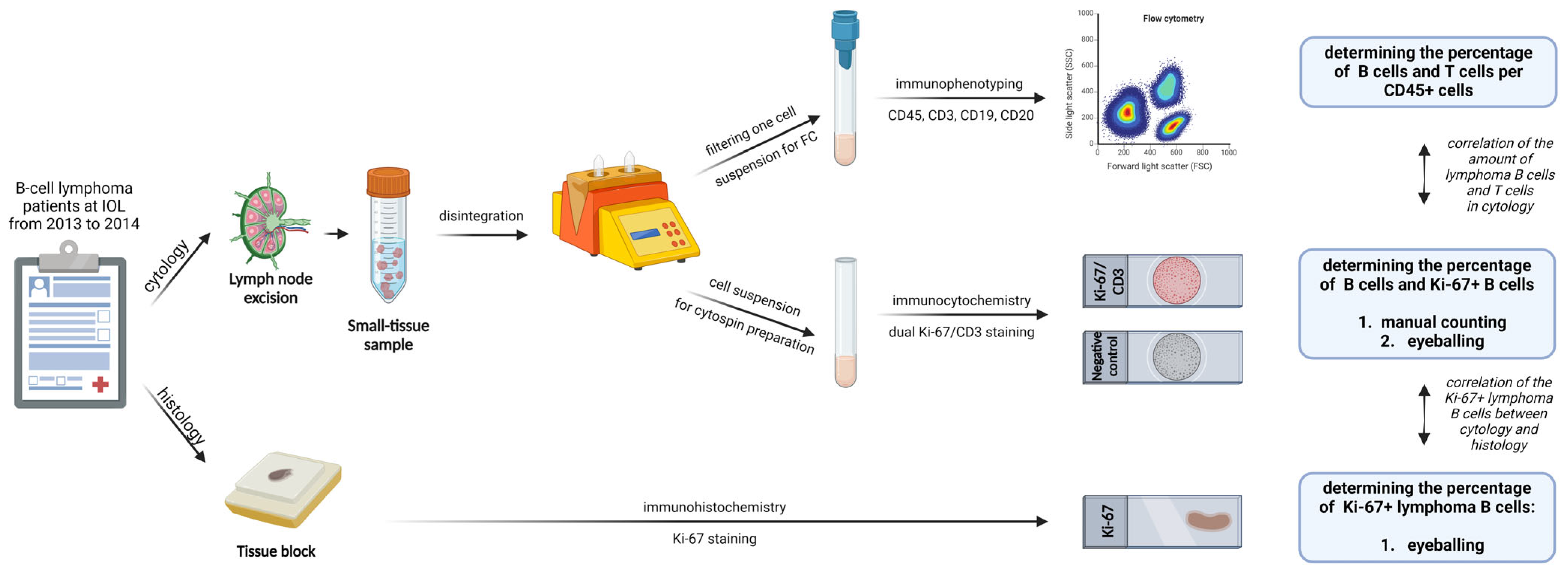 Diagnostics 14 01584 g001