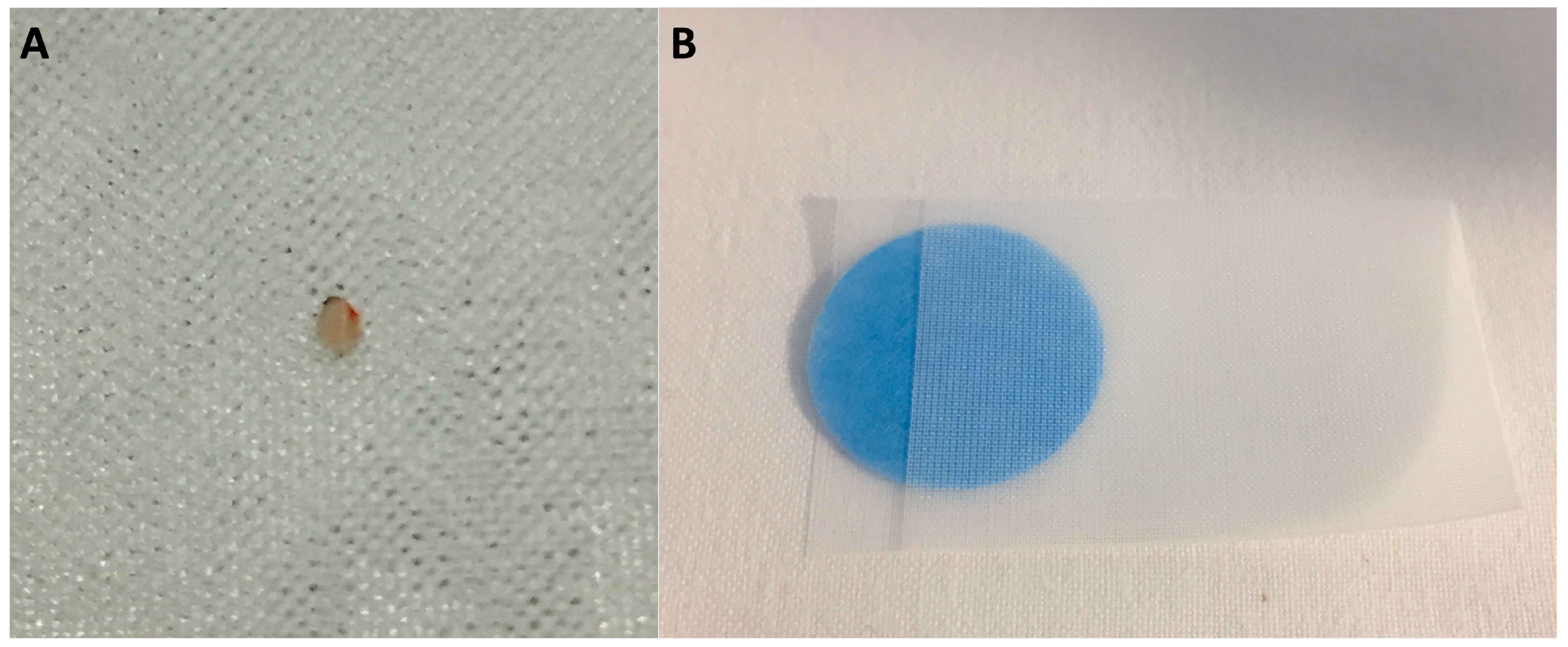 Diagnostics 14 01587 g004 Diagnostics 14 01587 g004