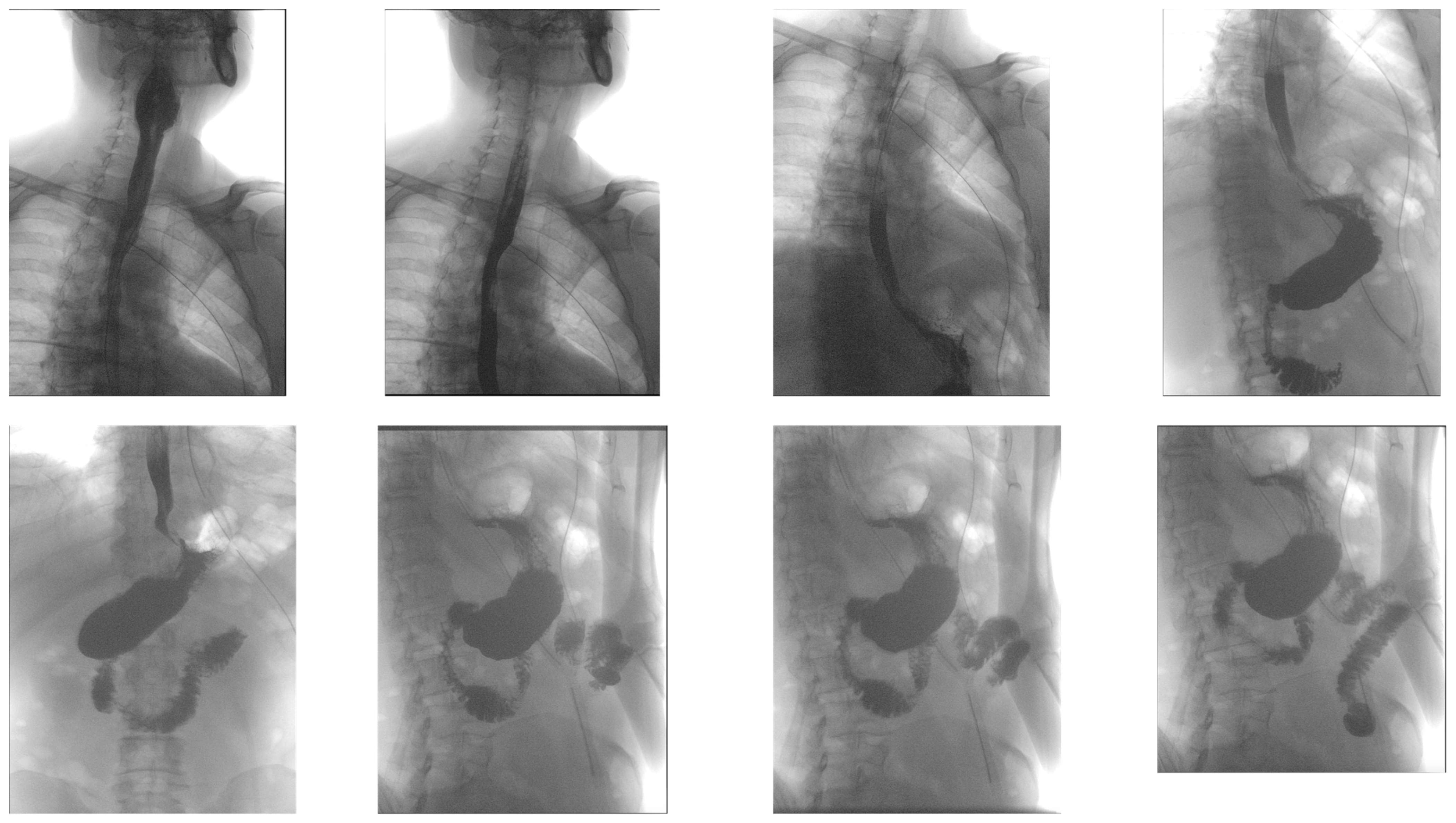 Diagnostics 14 01592 g005