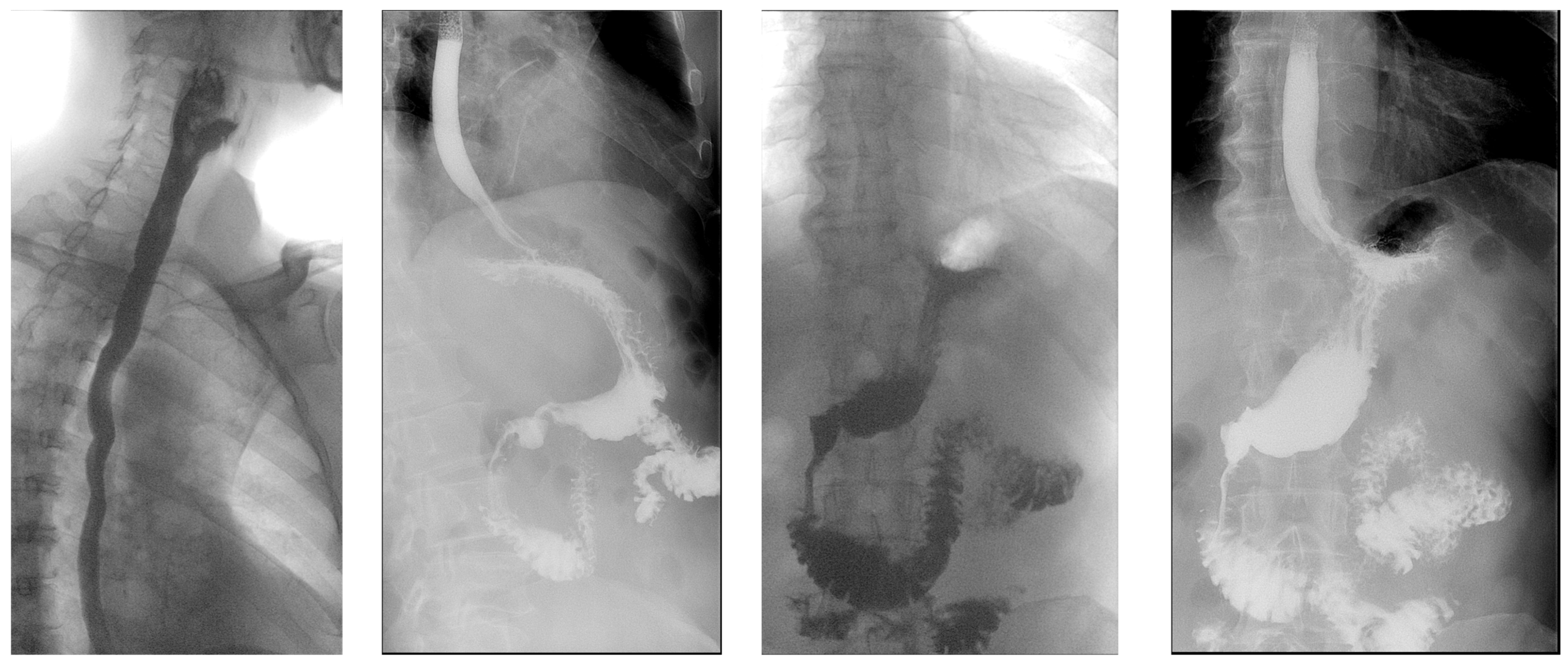 Diagnostics 14 01592 g006