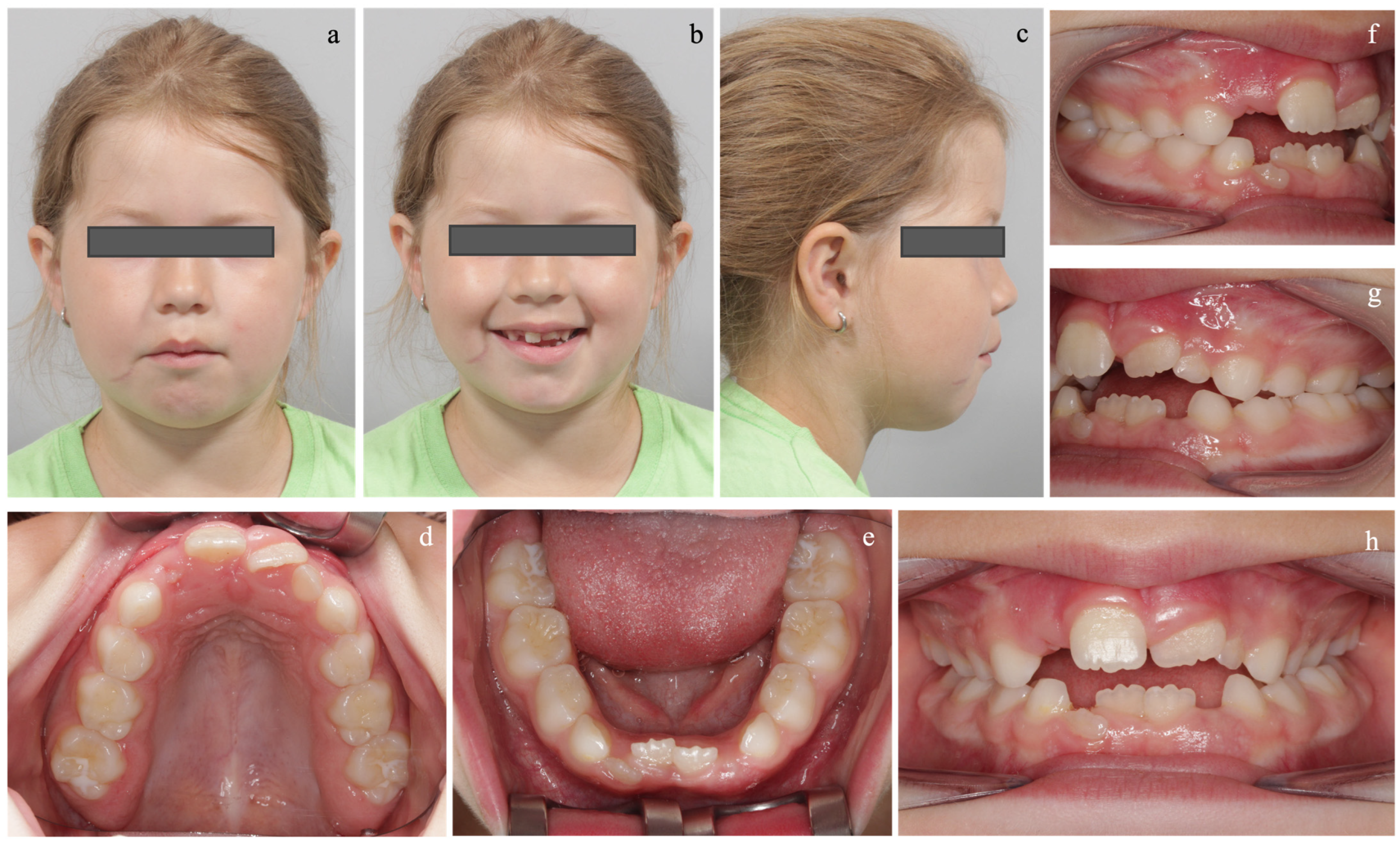 Diagnostics 14 01593 g002