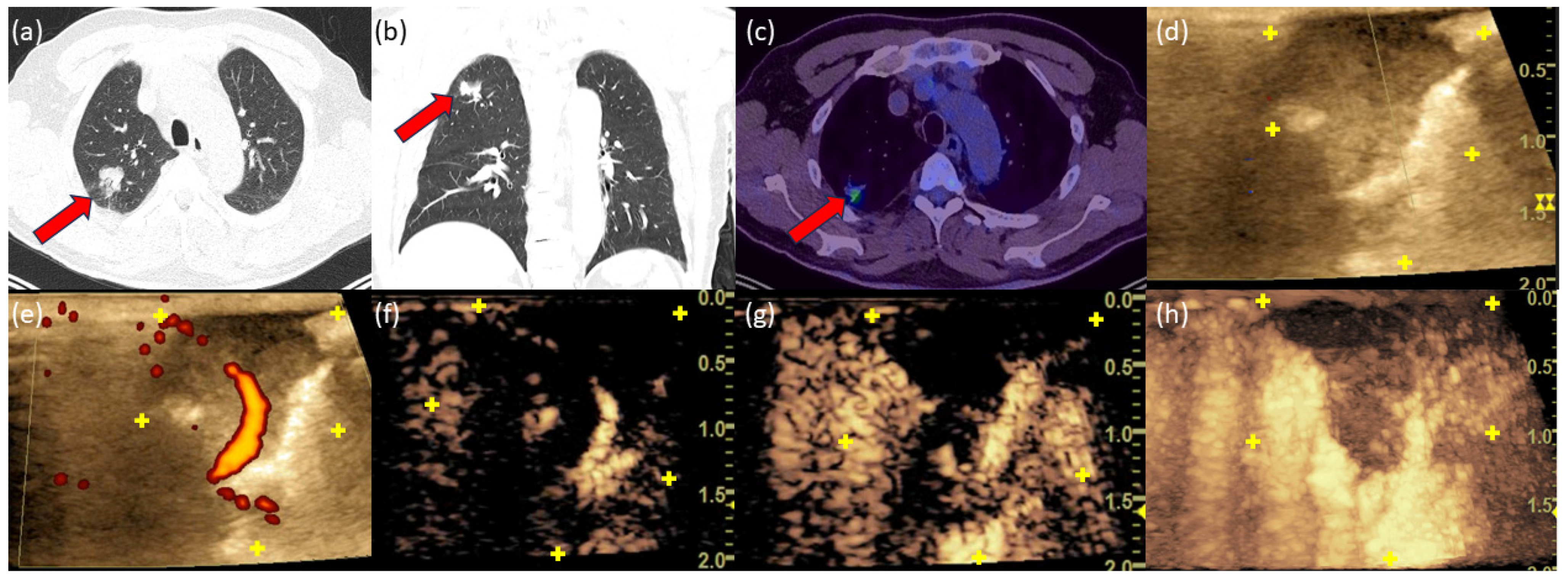 Diagnostics 14 01597 g001 Diagnostics 14 01597 g001