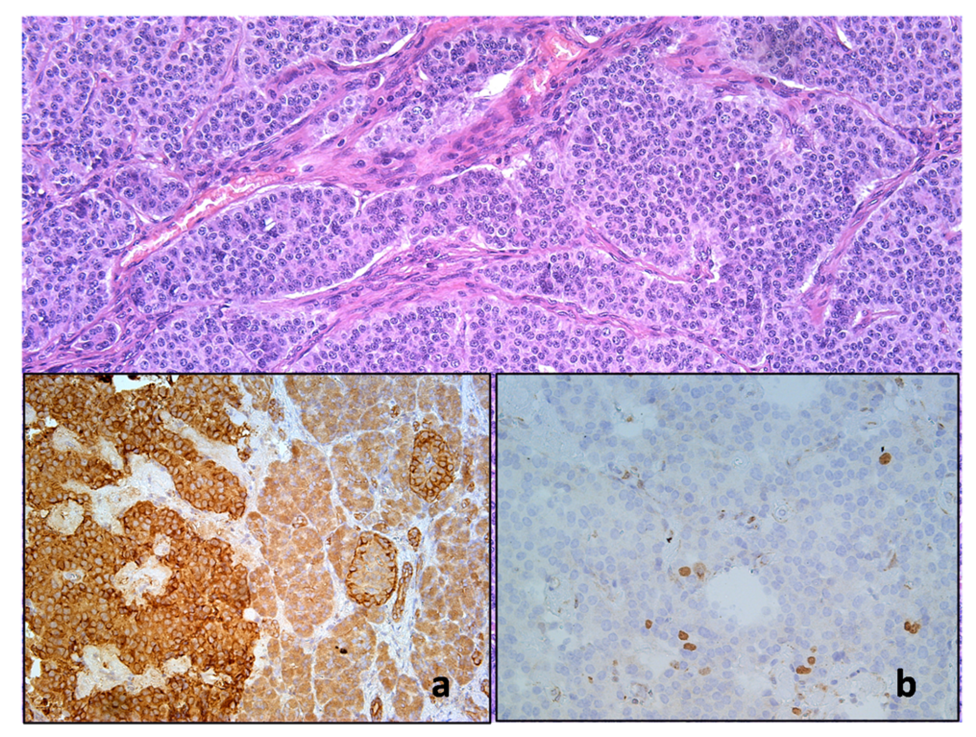 Diagnostics 14 01600 g003