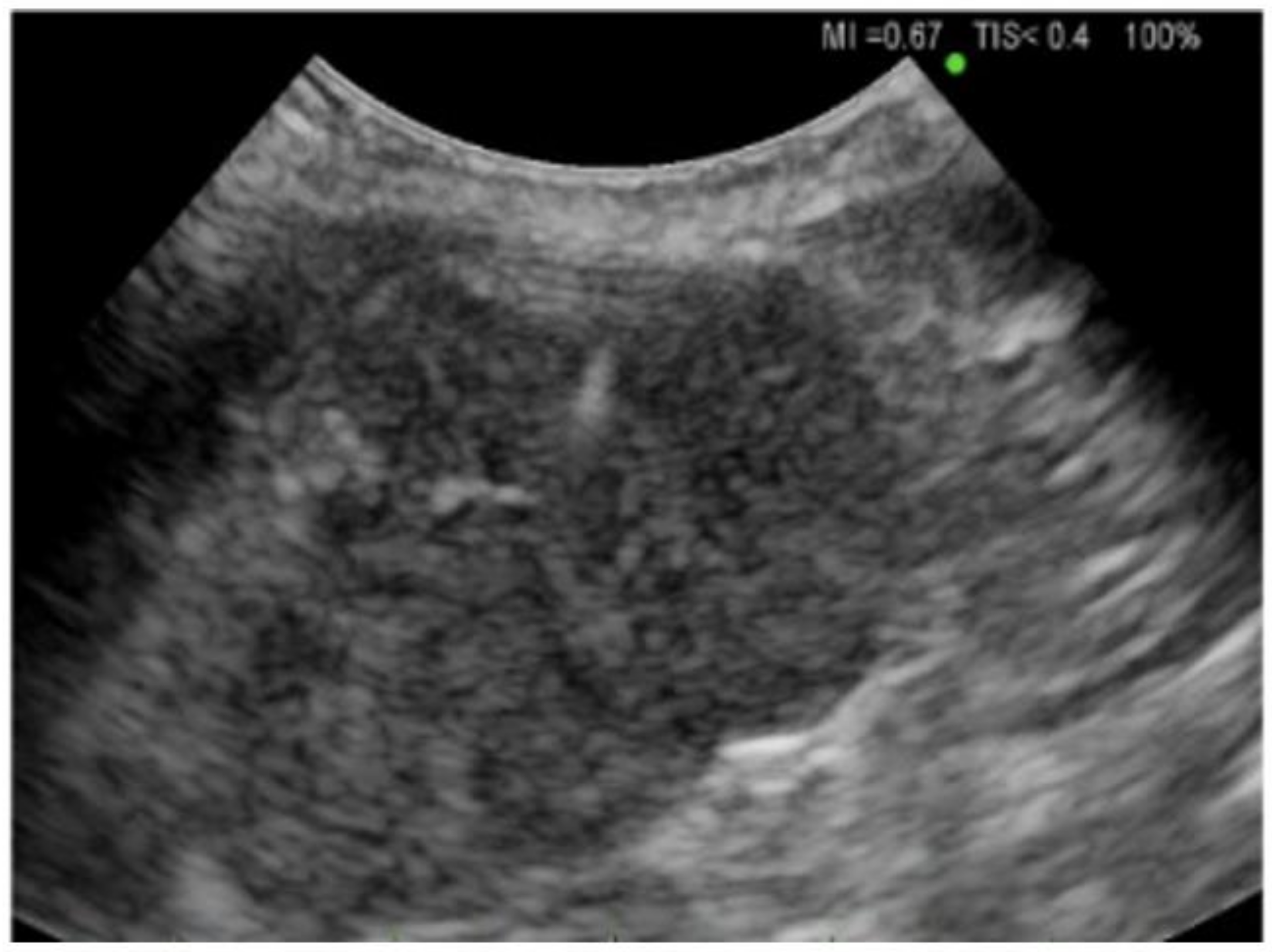 Diagnostics 14 01604 g001 Diagnostics 14 01604 g001