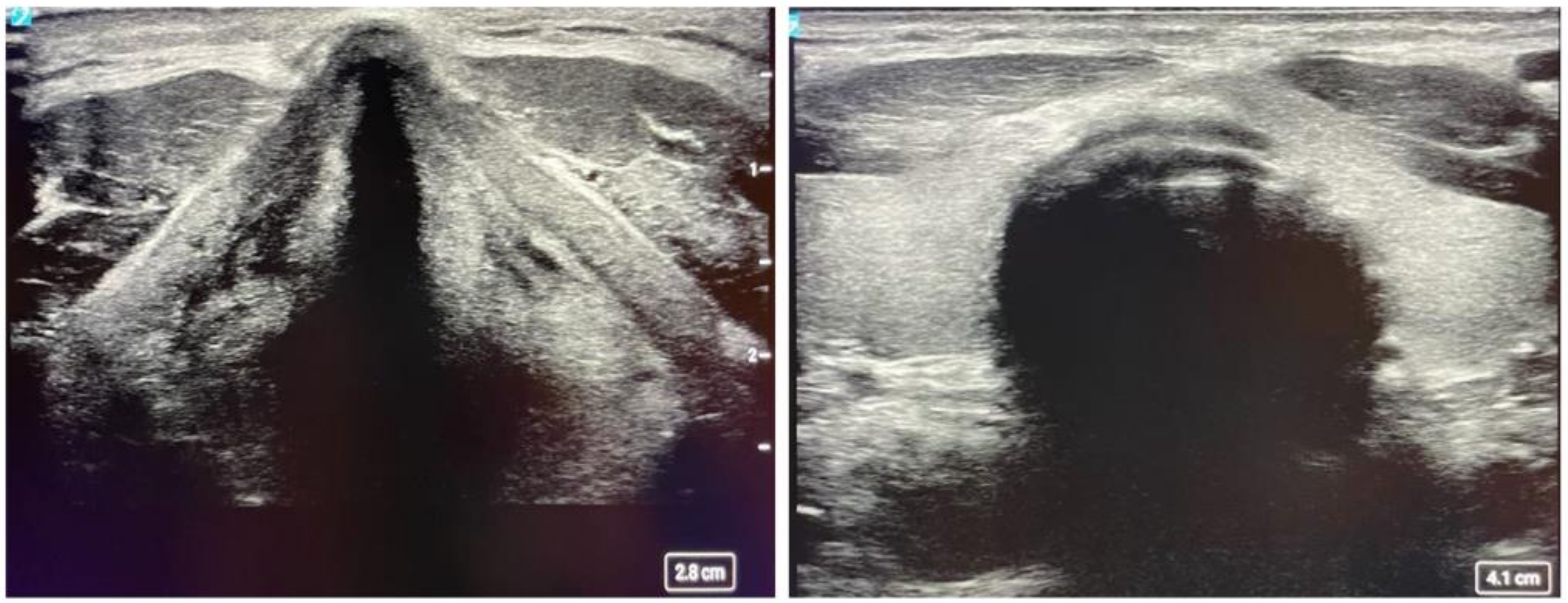 Diagnostics 14 01604 g002 Diagnostics 14 01604 g002