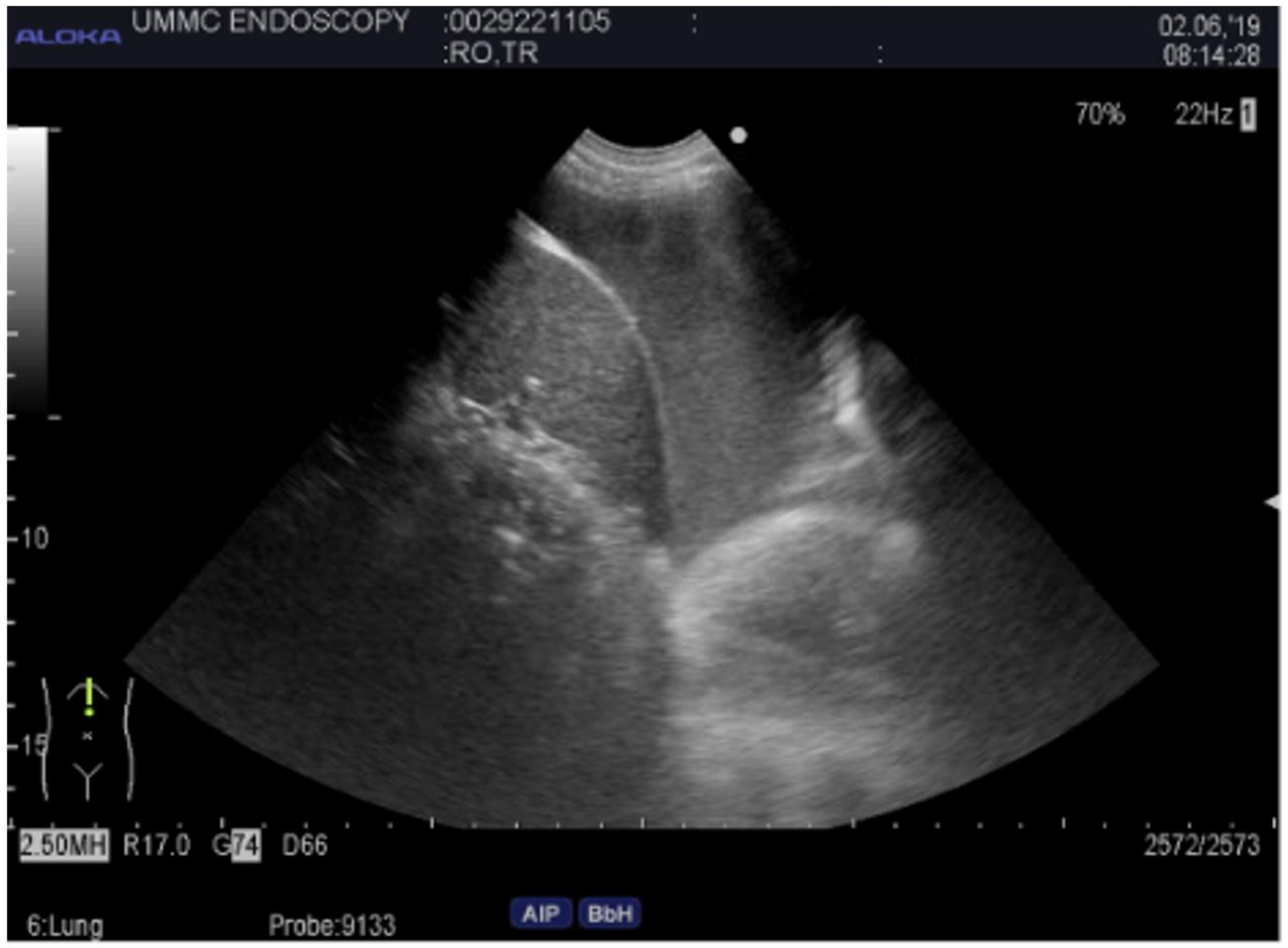 Diagnostics 14 01604 g003 Diagnostics 14 01604 g003