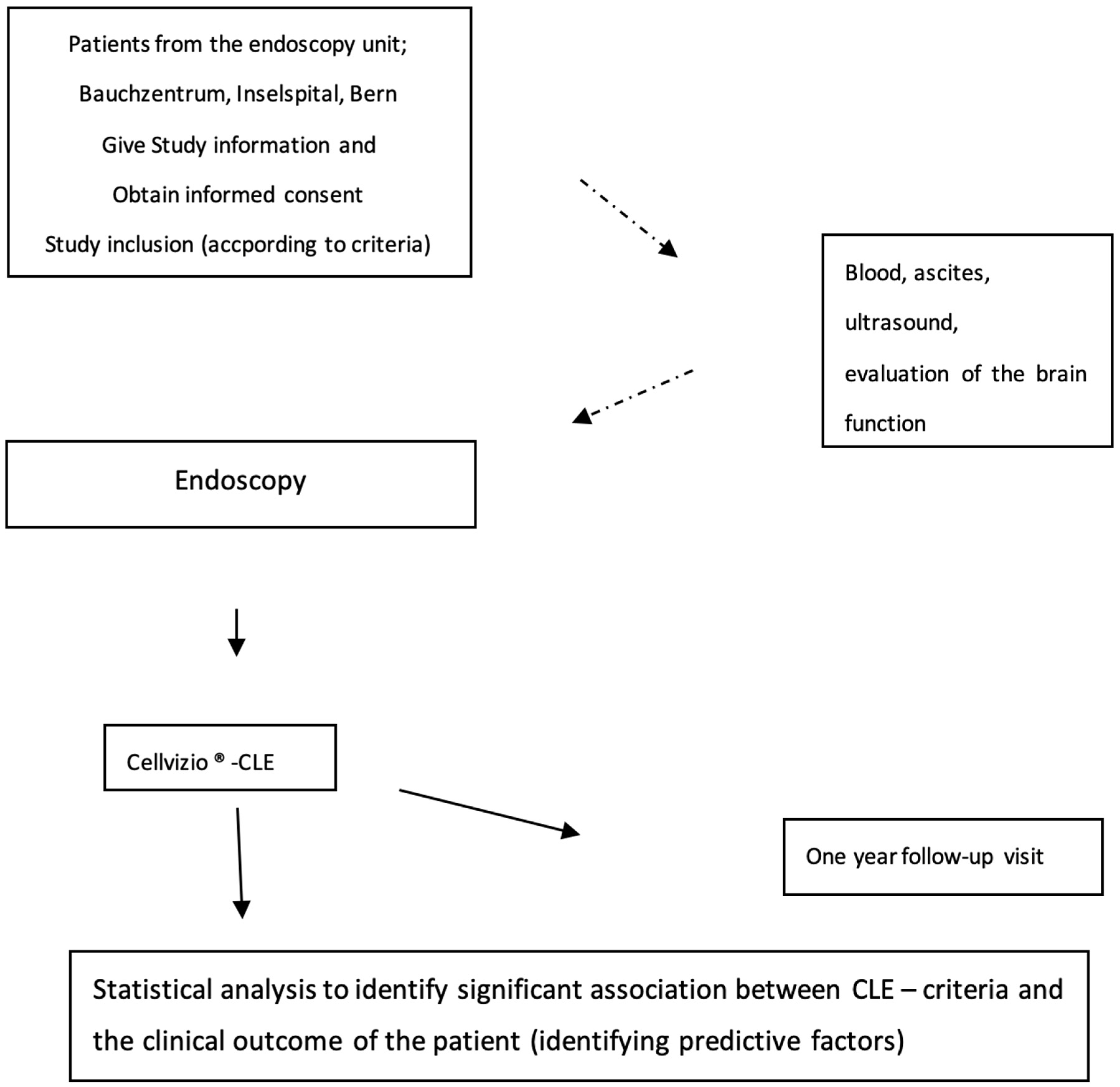 Diagnostics 14 01606 g001
