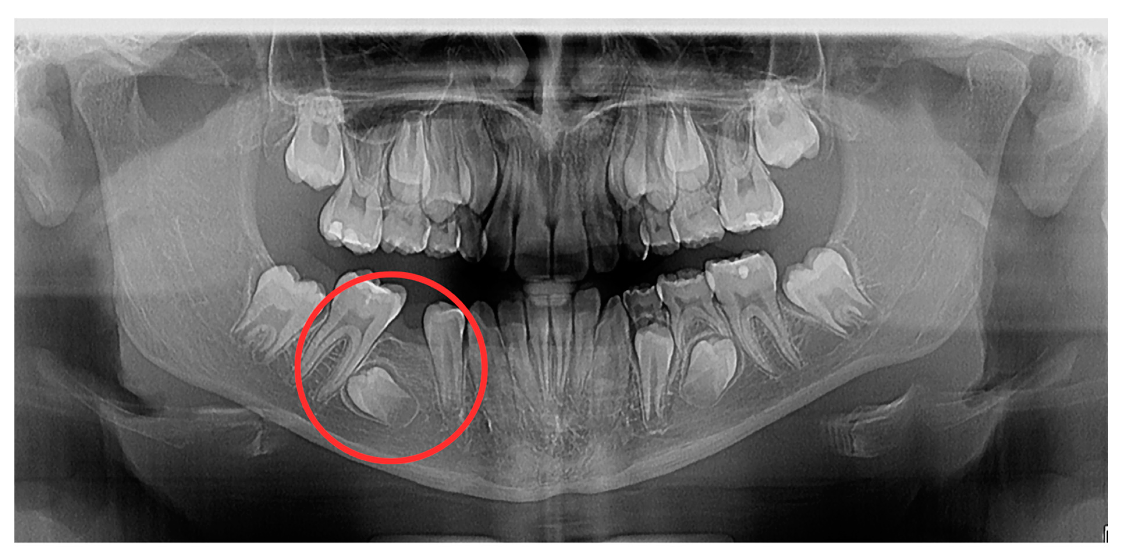 Diagnostics 14 01610 g002