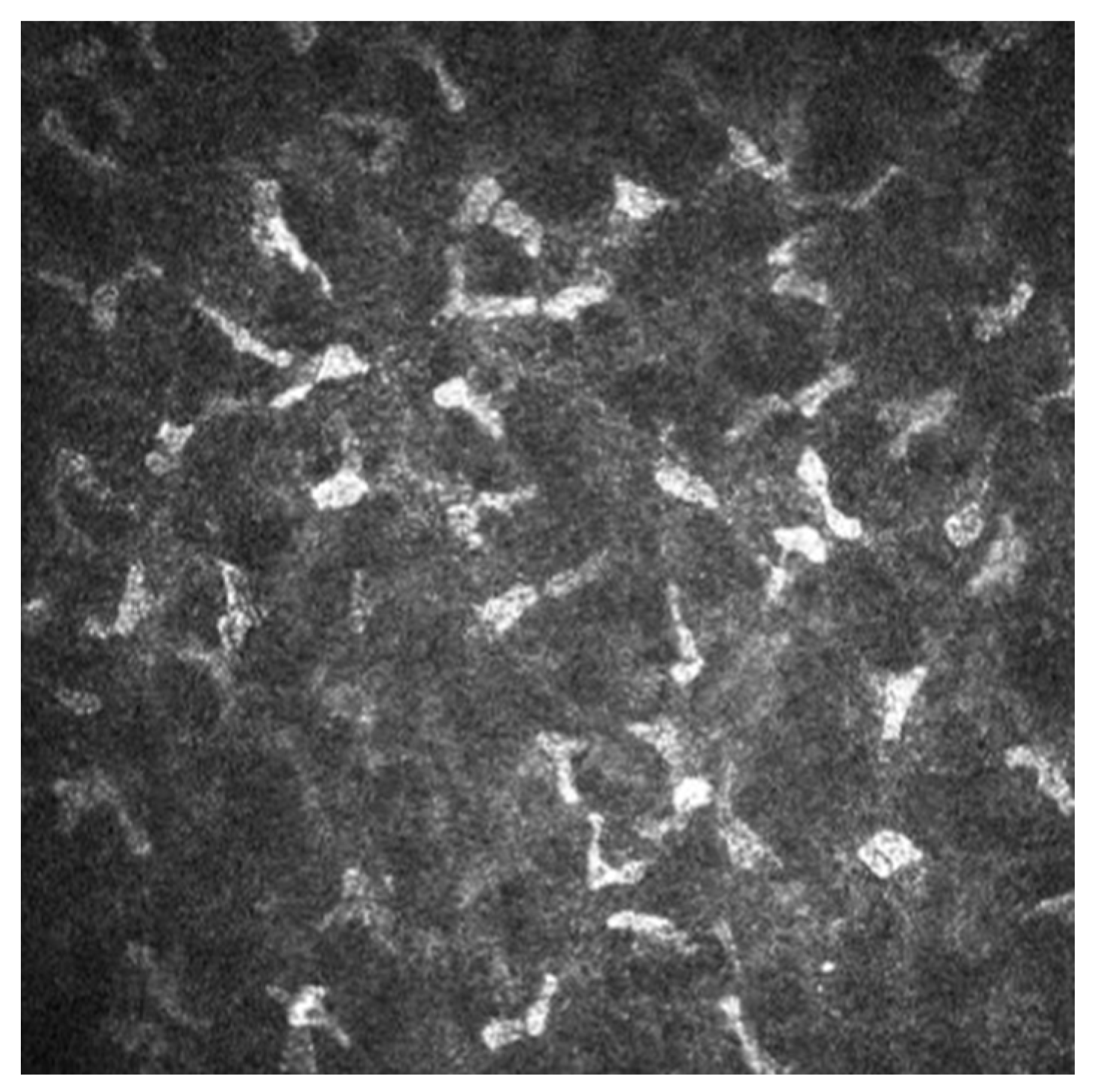 Diagnostics 14 01613 g001