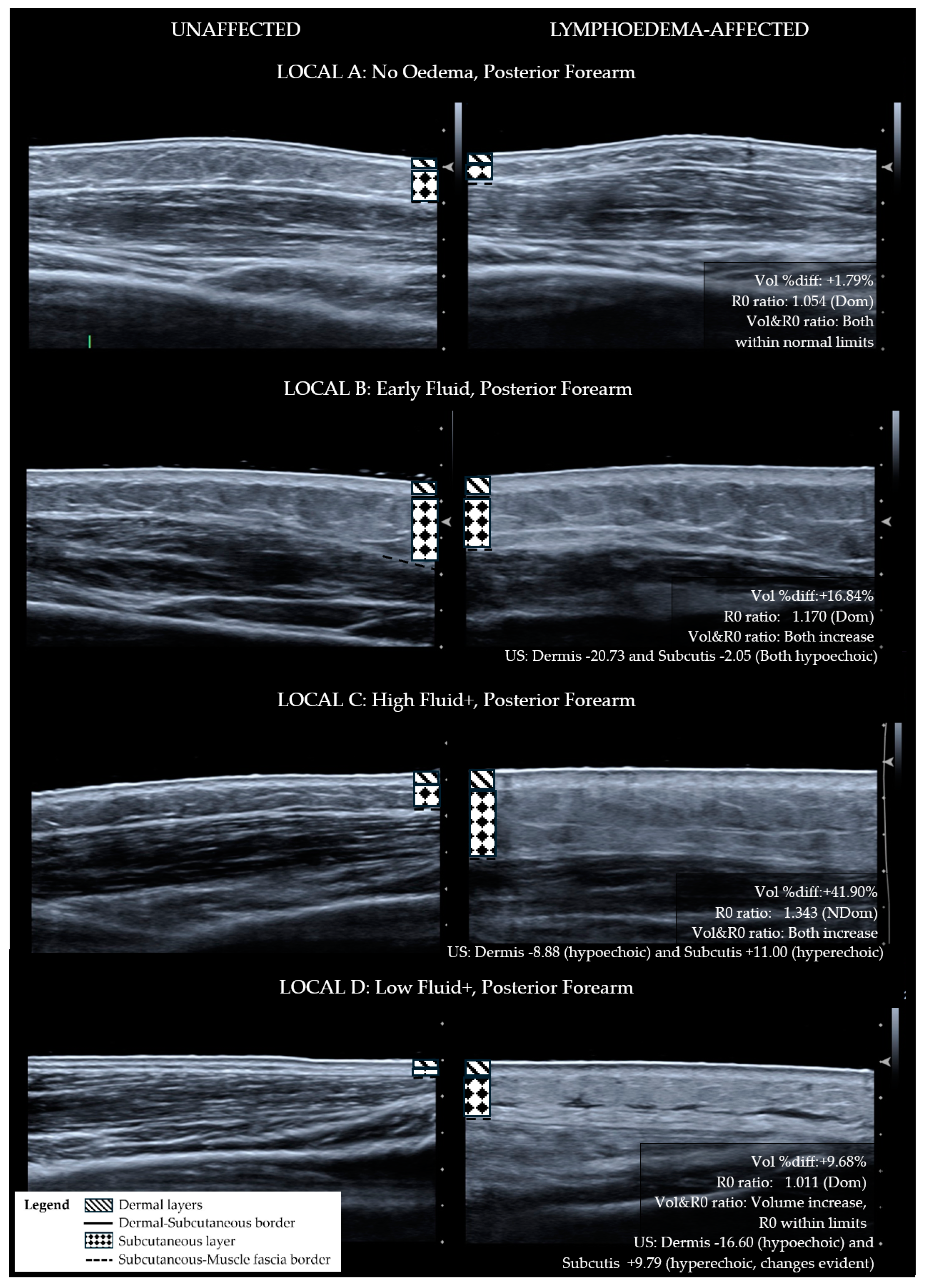 Diagnostics 14 01616 g002