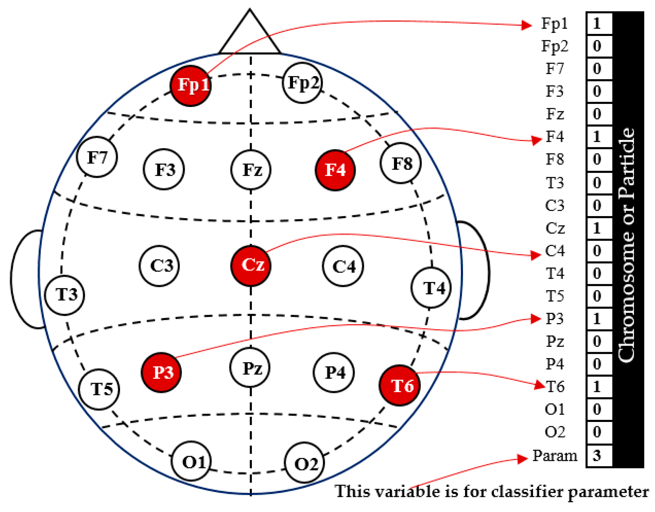Diagnostics 14 01619 g004