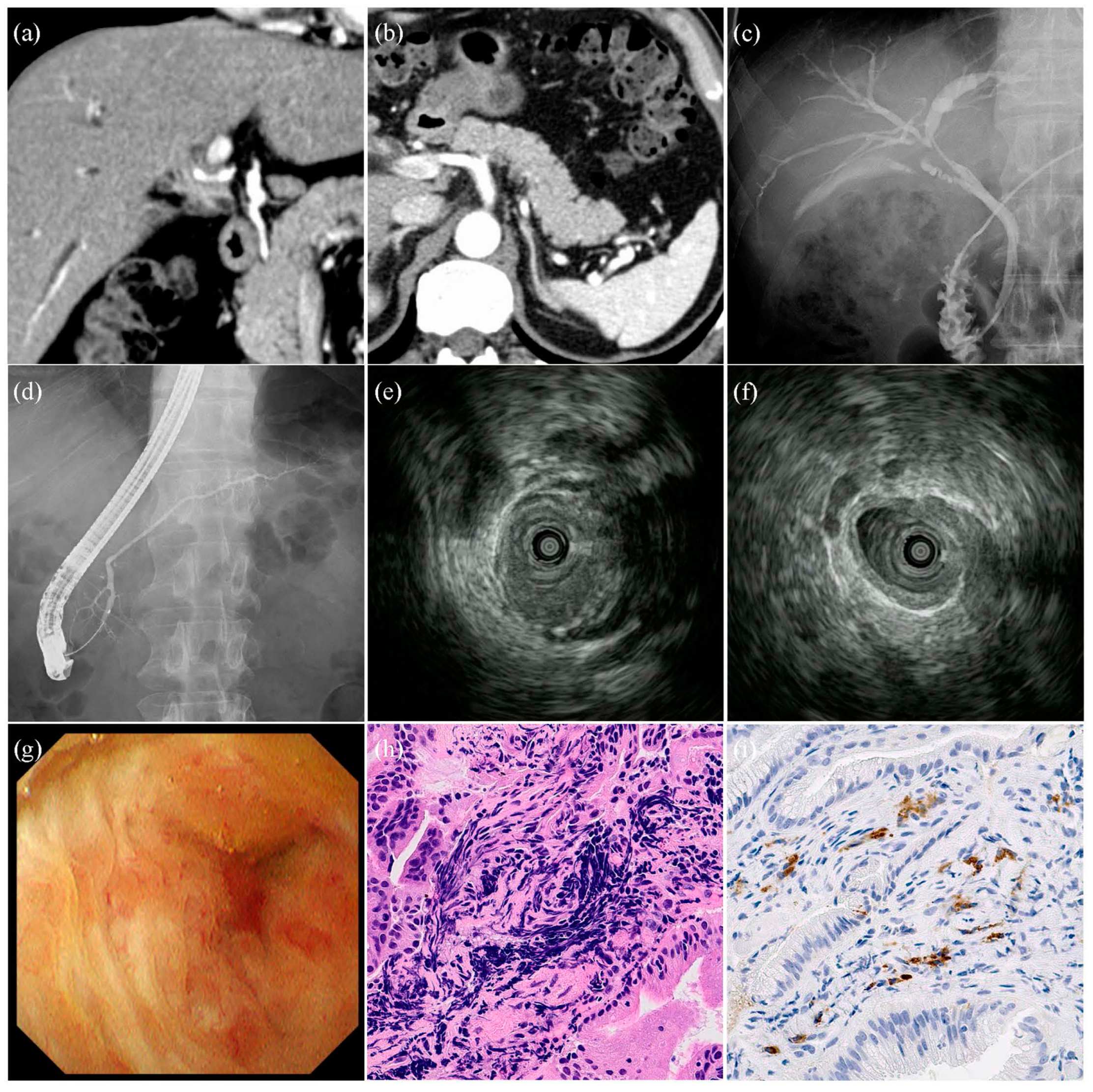 Diagnostics 14 01621 g002