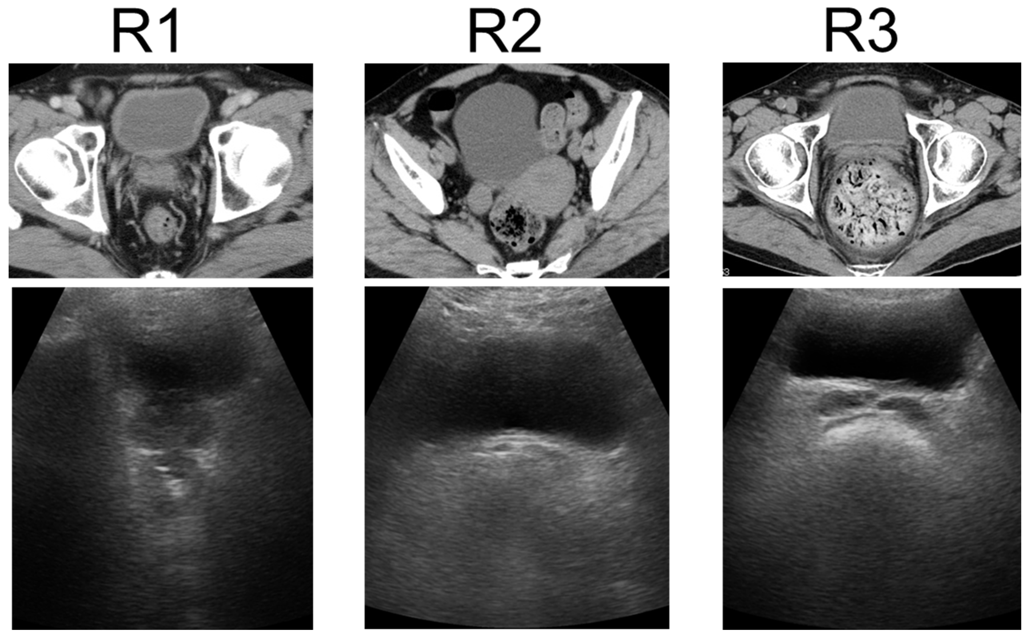 Diagnostics 14 01626 g001