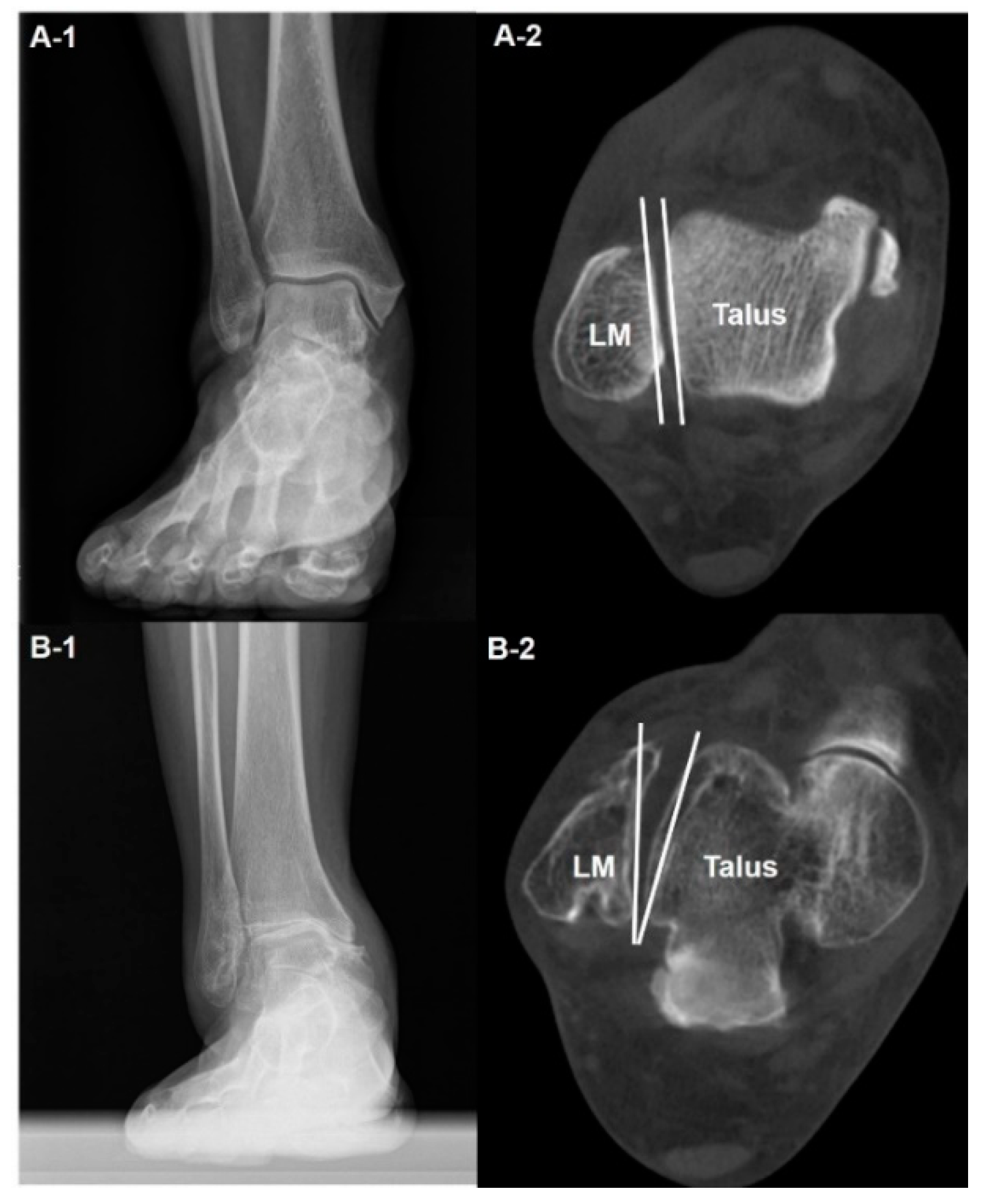 Diagnostics 14 01641 g001