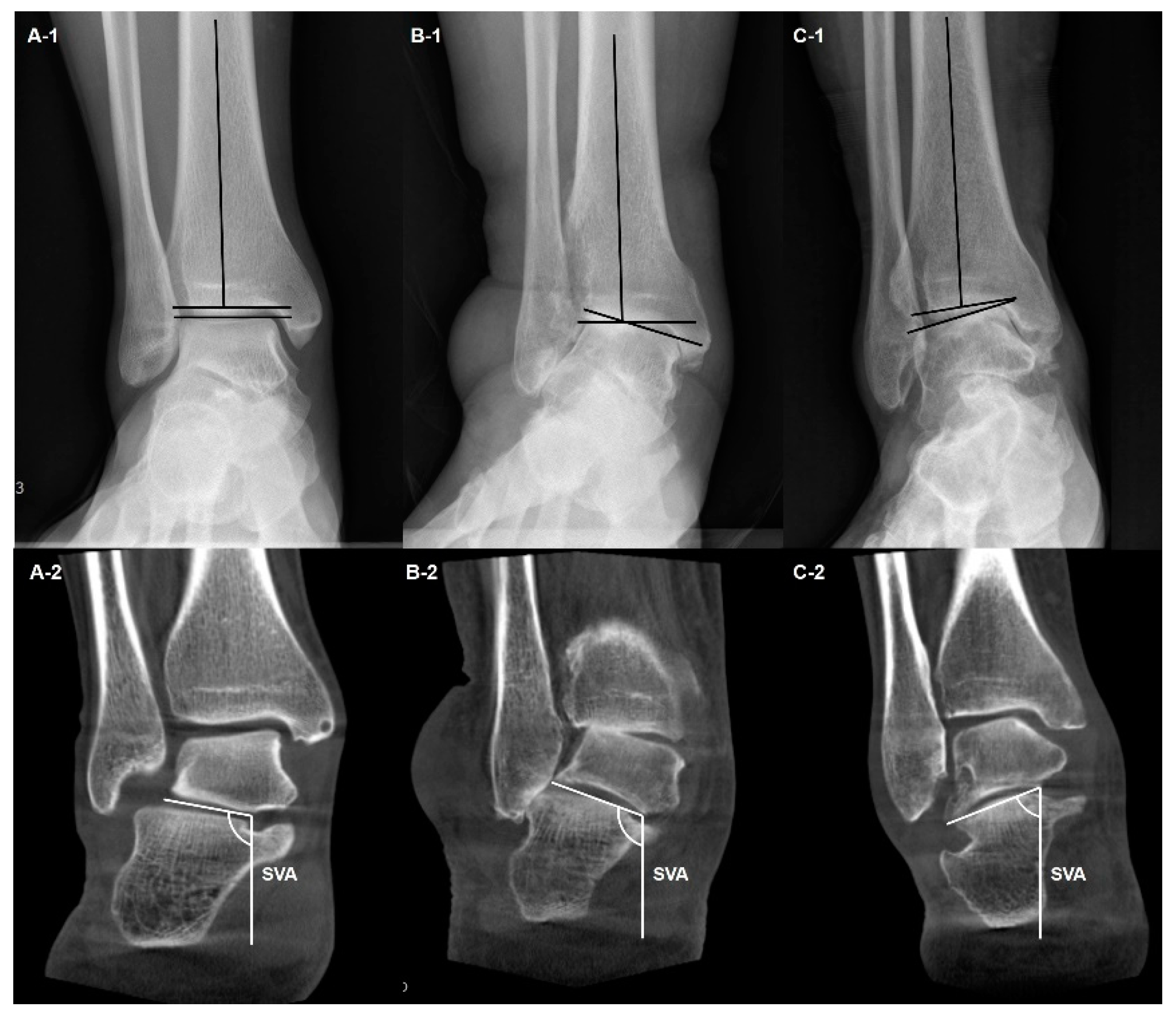 Diagnostics 14 01641 g003