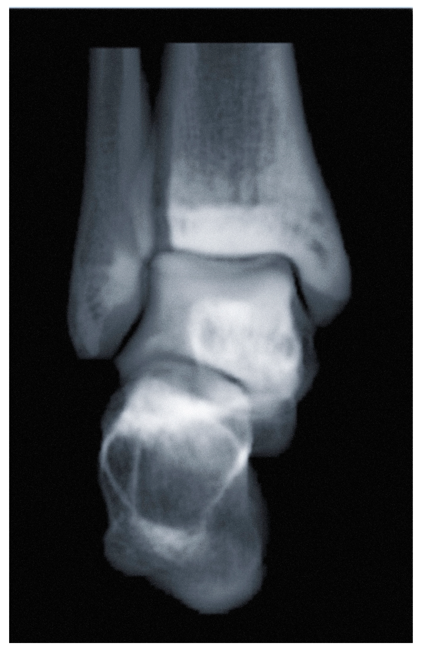 Diagnostics 14 01641 g011